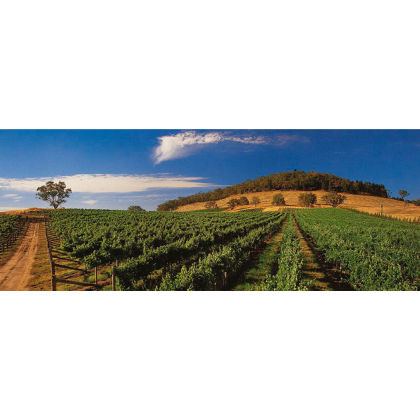 Thorn-Clarke Wines Thorn-Clarke Shotfire Reserve Barossa Shiraz  2019 Barossa Australia 93 Pts JD