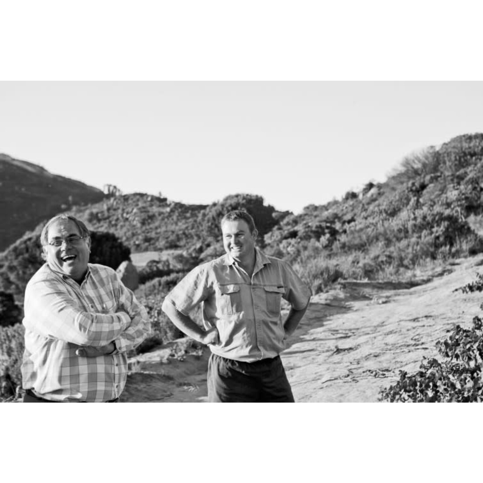 Babylon's Peak Cinsault South Africa
