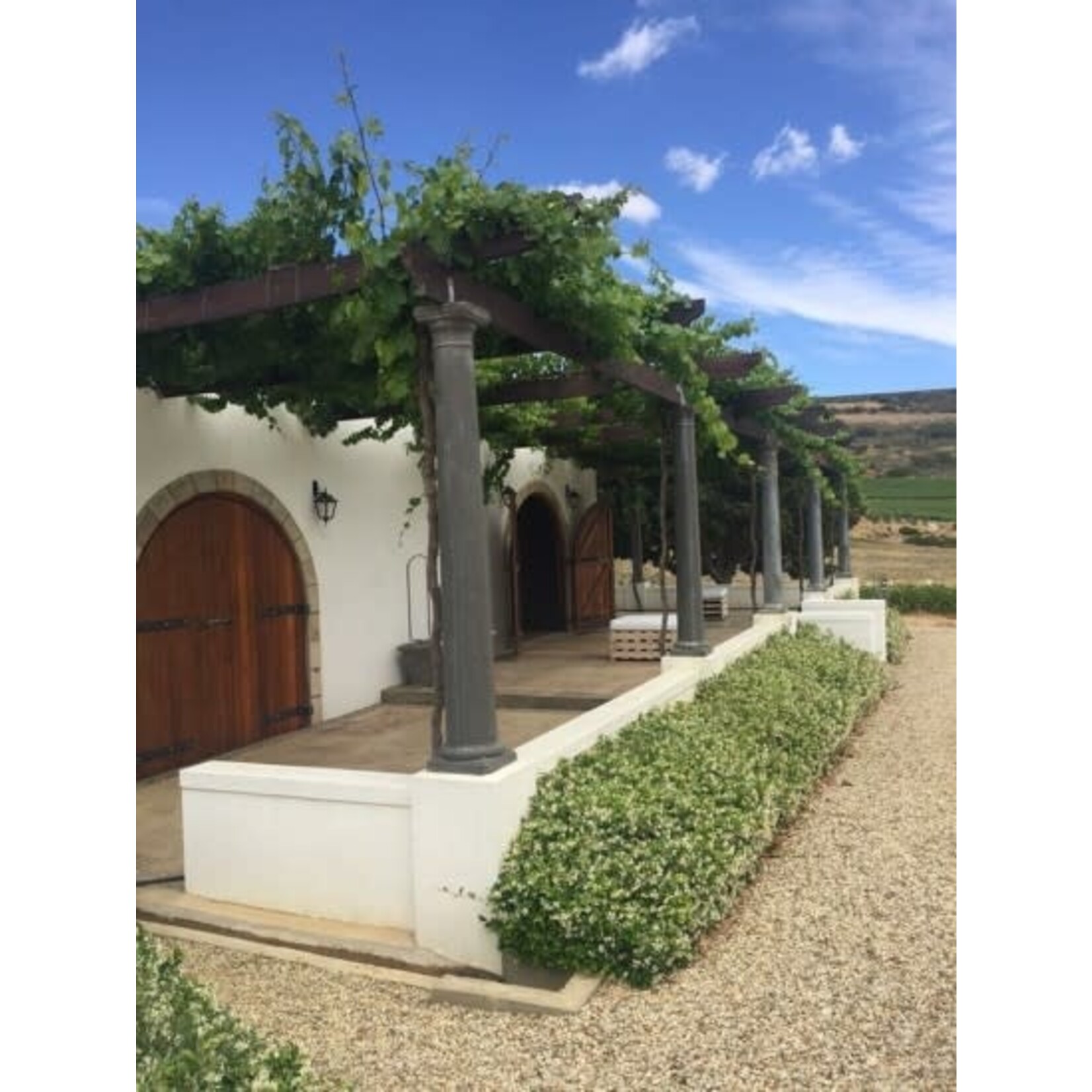 Babylon's Peak Cinsault South Africa