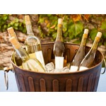 Selby Selby Sauvignon Blanc 2024