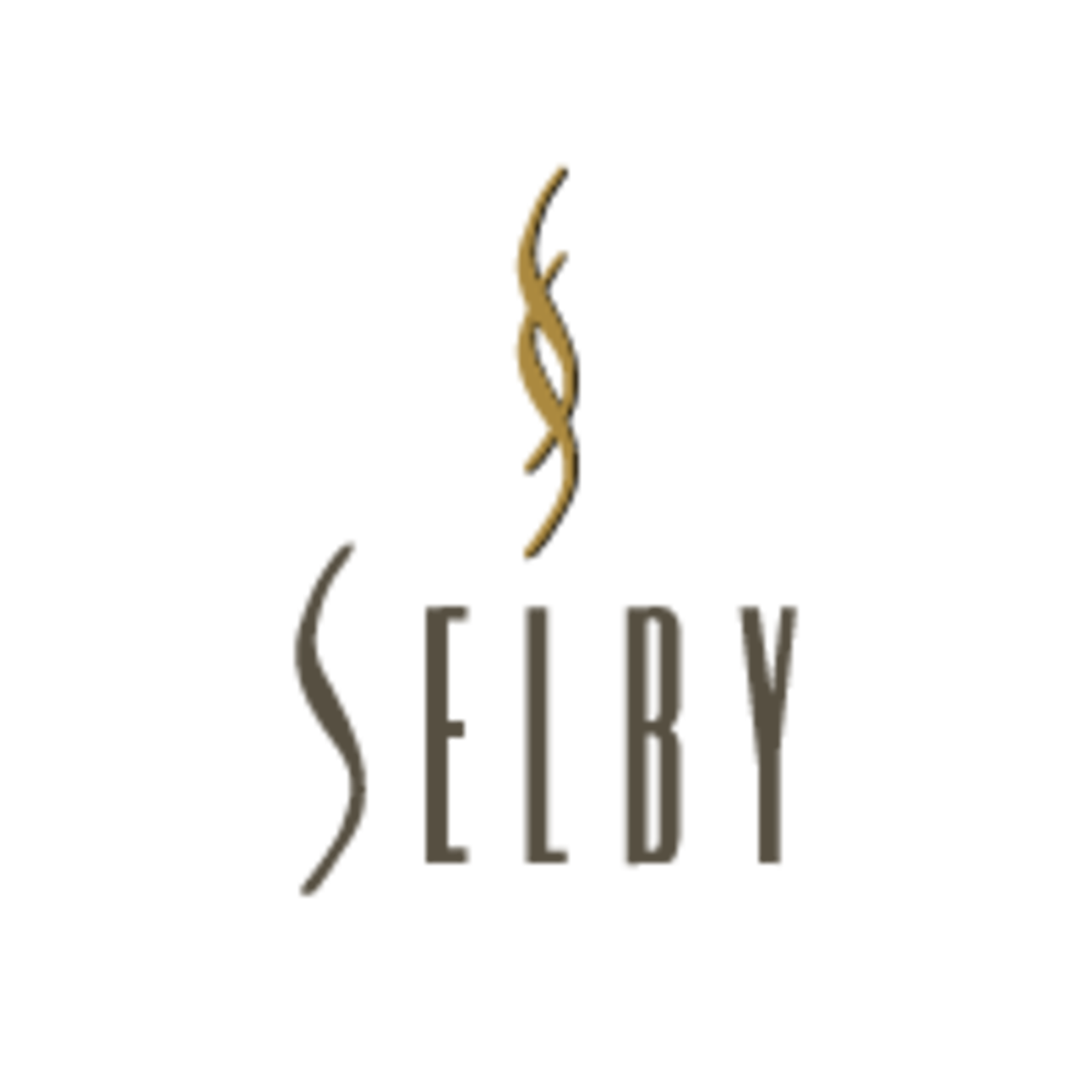Selby Selby Old Vines Zinfandel Sonoma County California