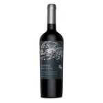 Odfjell Orzada Carignan 2019 Msde with Organic Grapes Valle del Maule Chile