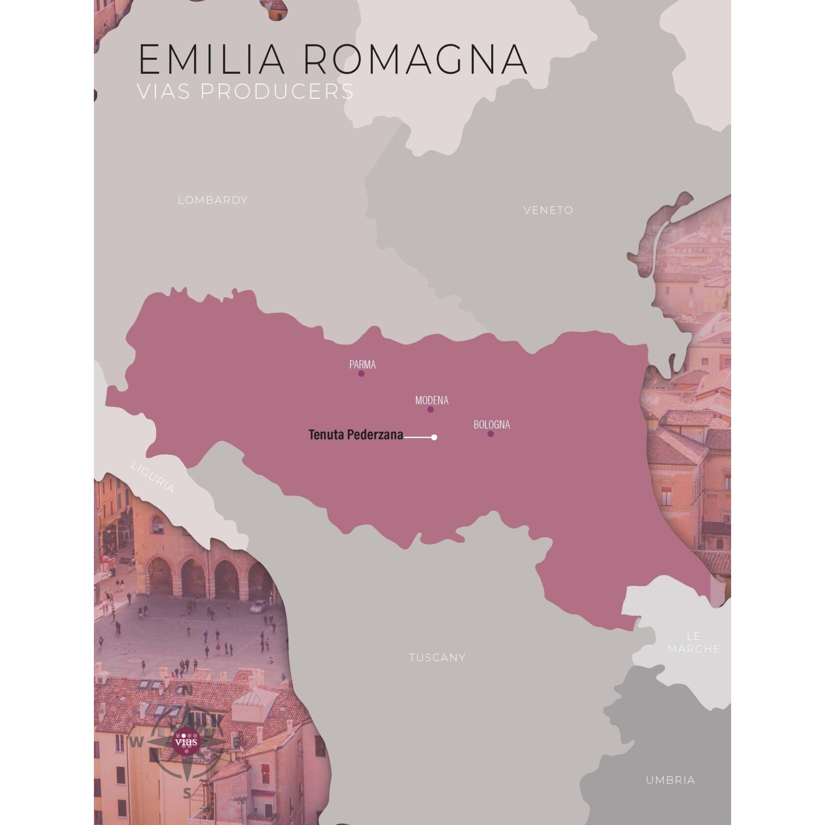 Pederzana Lambrusco Grasparossa di Castelvetro Sparkling Red Wine Italy