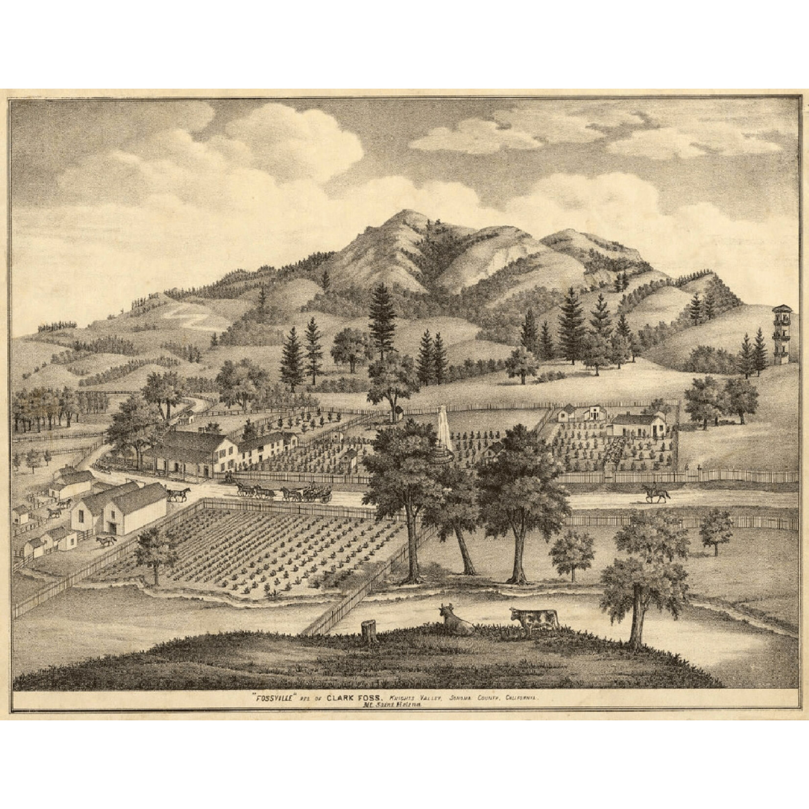 Knight's Bridge Pont de Chevalier Chardonnay 2020 Knights Valley California
