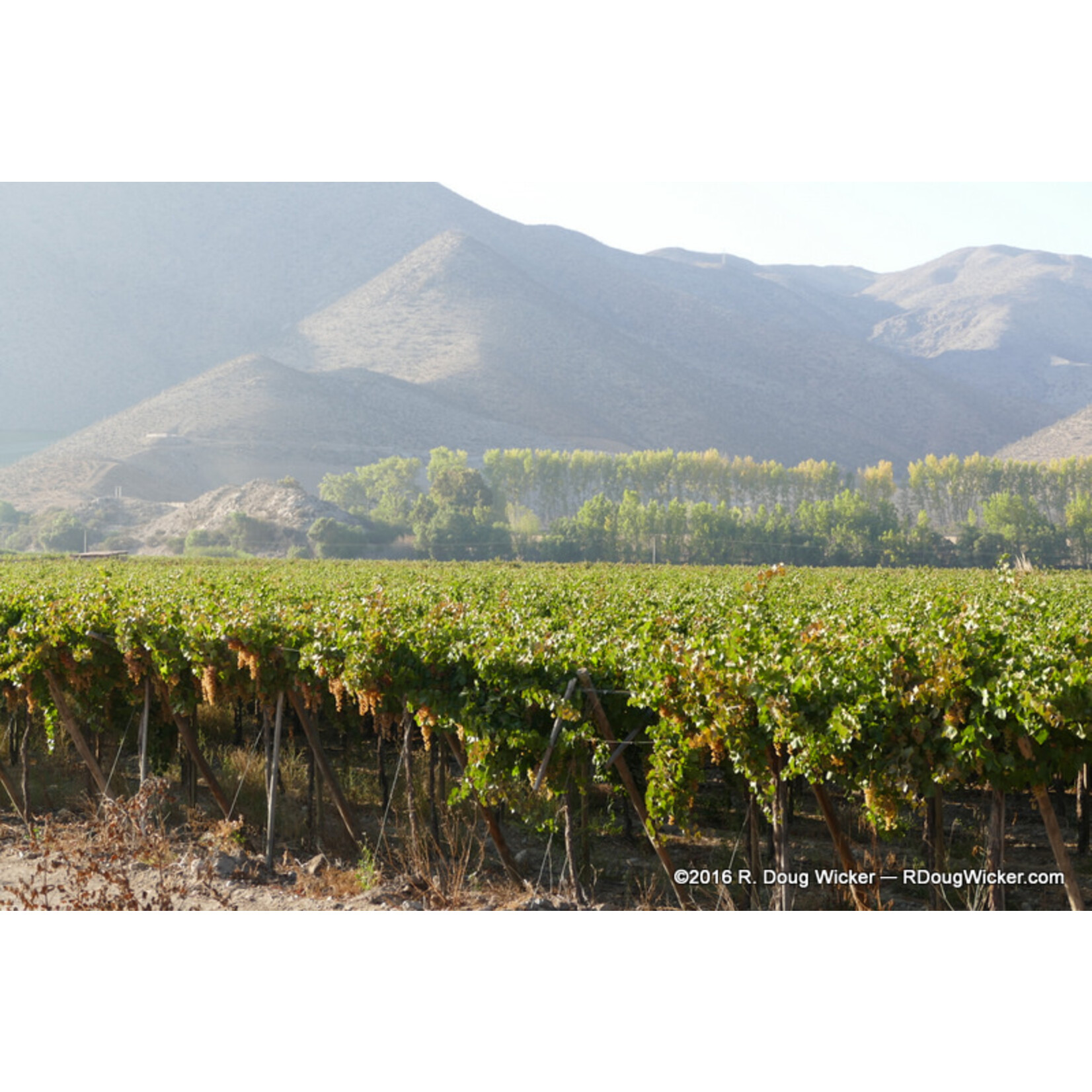 Elqui Wines Elqui Wines Red Blend Carmenere, Syrah, Malbec 2018 Chile