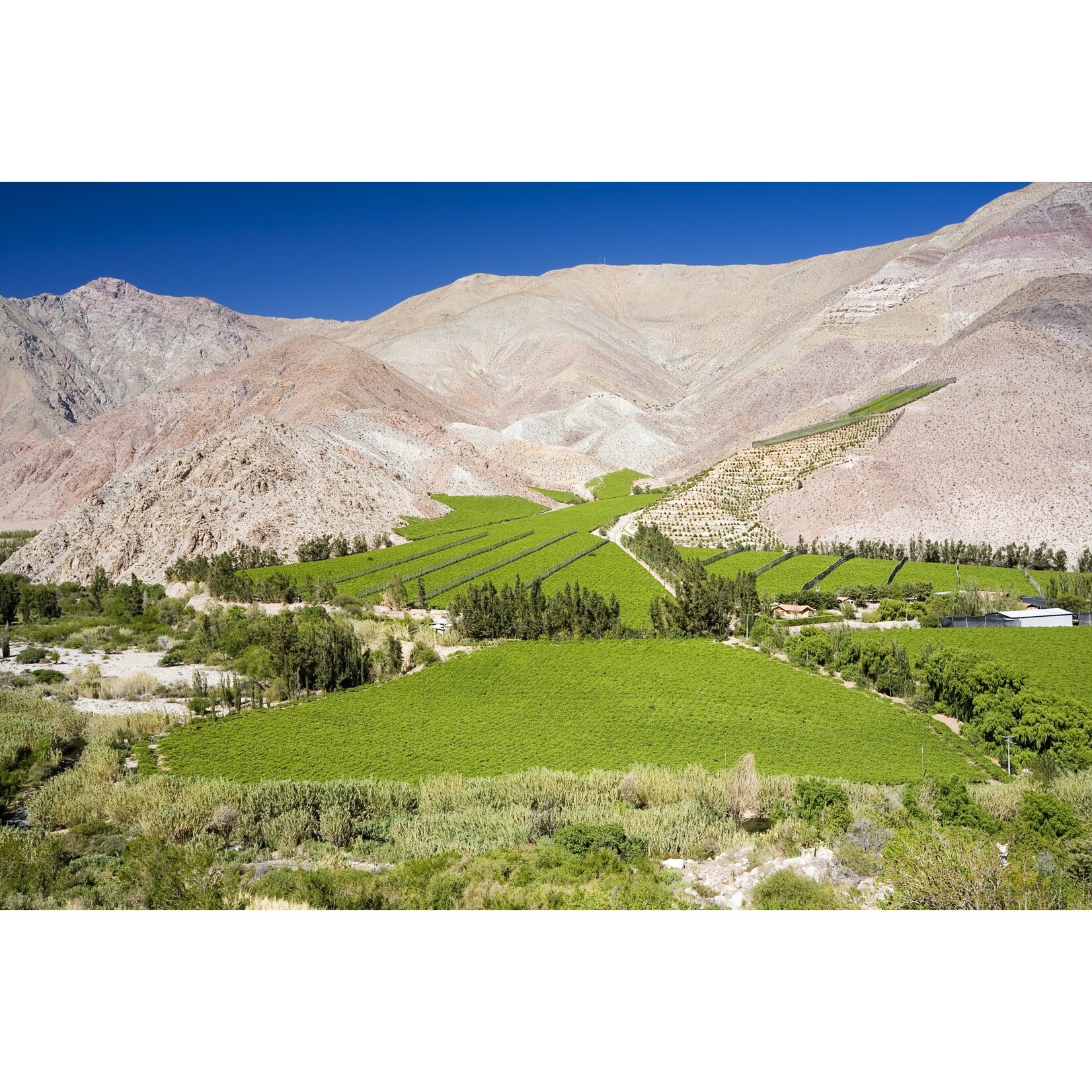 Elqui Wines Elqui Wines Red Blend Carmenere, Syrah, Malbec 2018 Chile