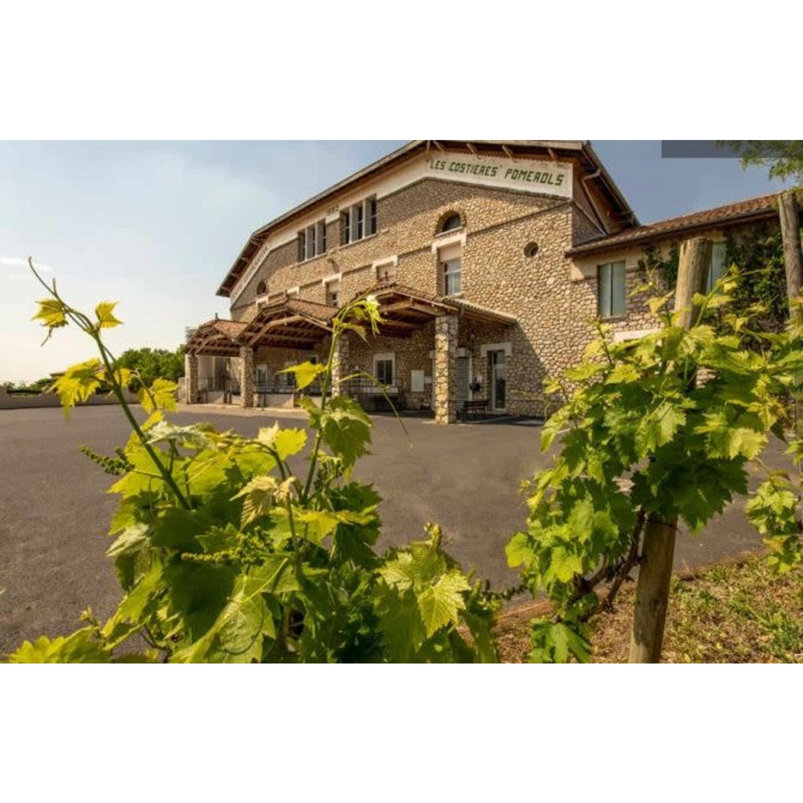 Le Jade Le Jade Sauvignon Blanc Cotes de Thau  France