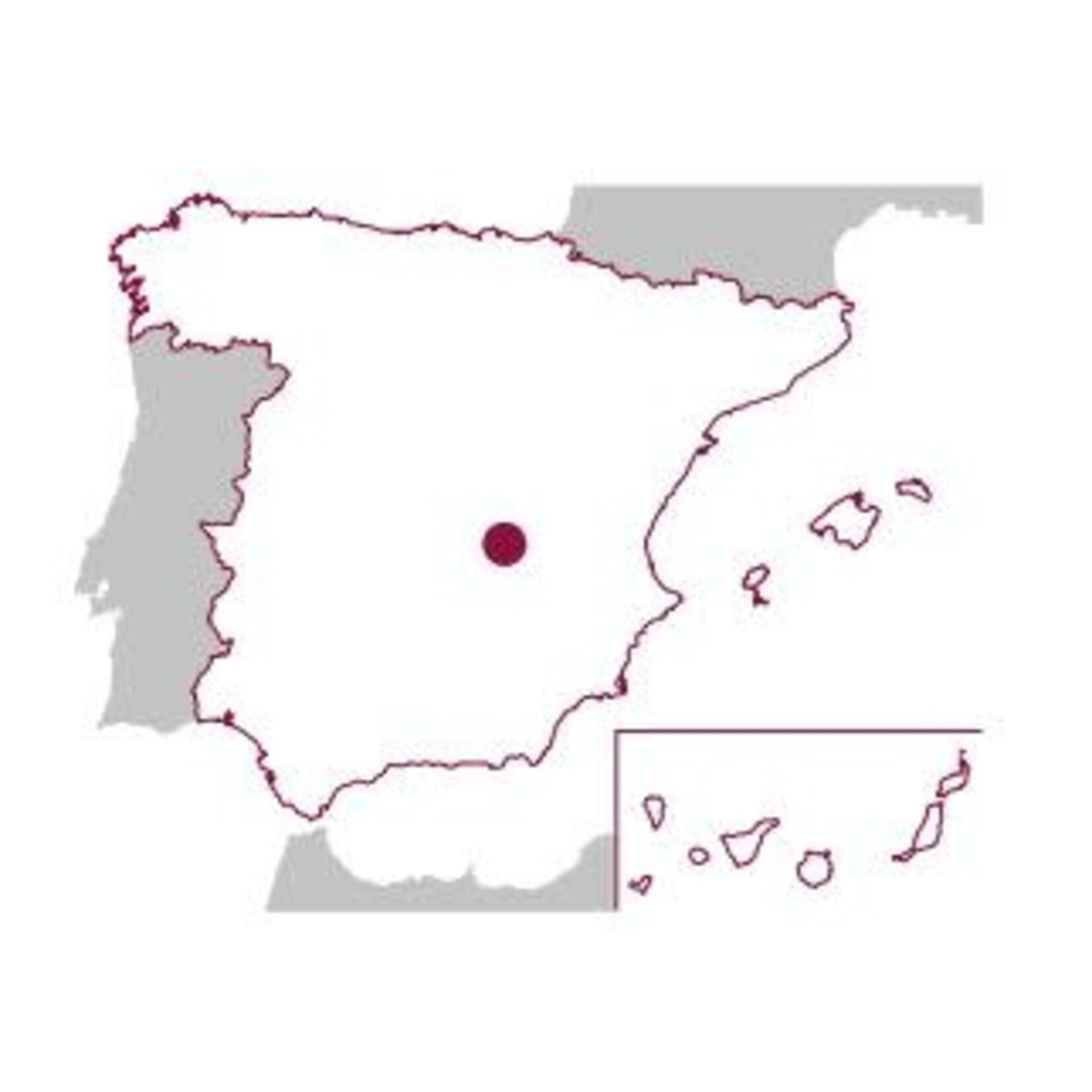 Galerna Garnacha Punctum Organic Family Vineyards 2022 Spain