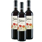 Galerna Garnacha Punctum Organic Family Vineyards 2022 Spain
