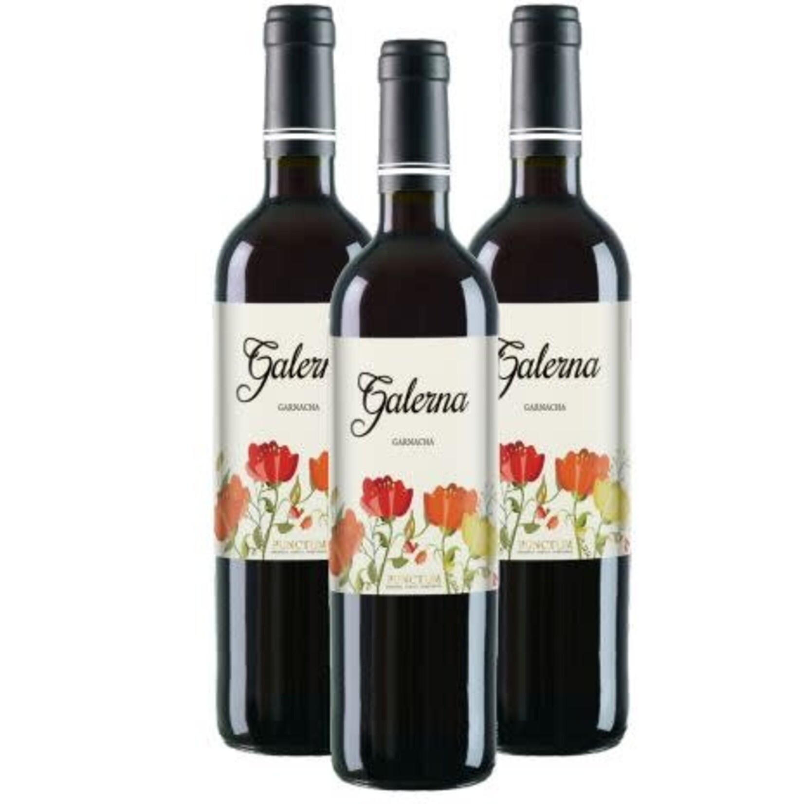 Galerna Garnacha Punctum Organic Family Vineyards 2022 Spain