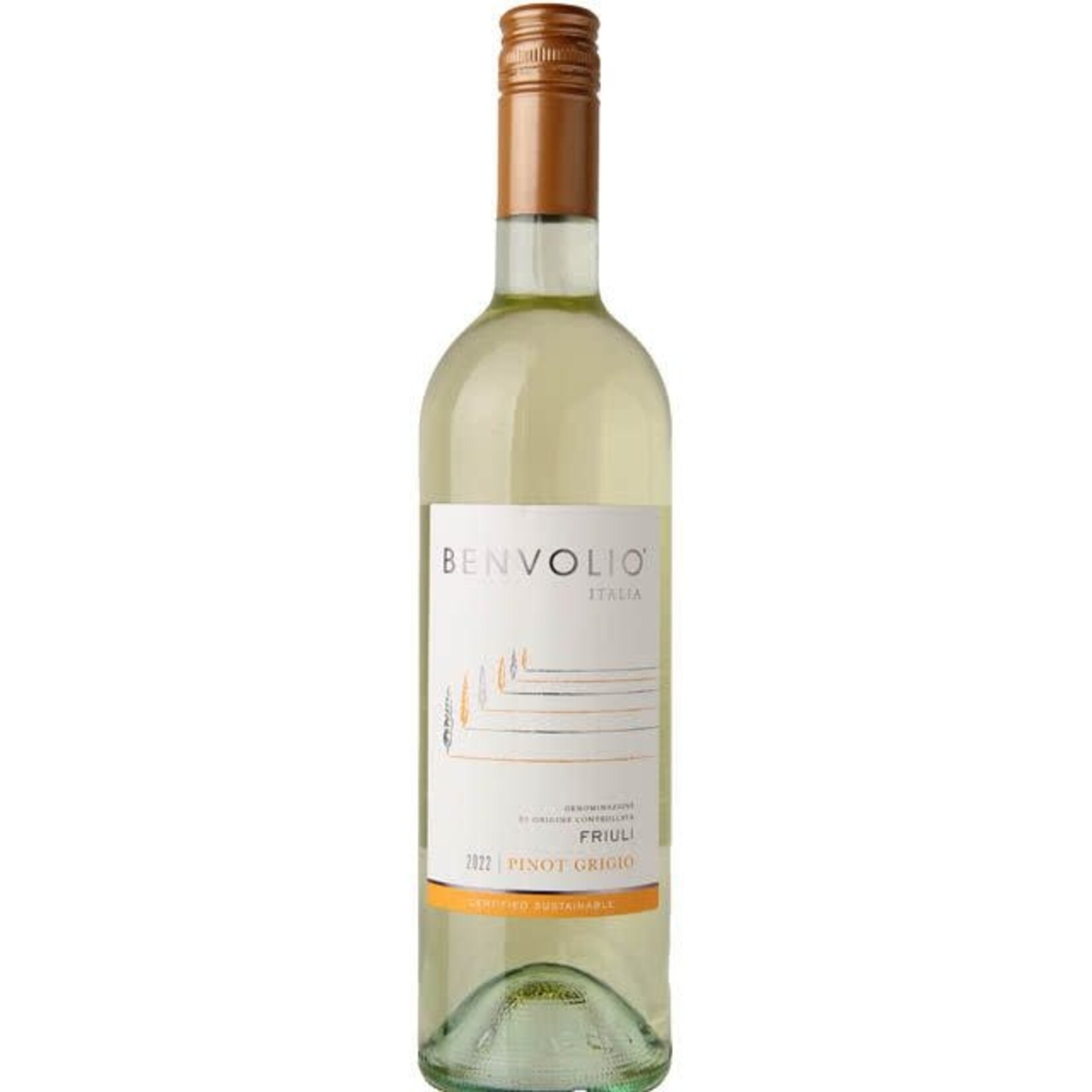 Benvolio Pinot Grigio 2022 Friuli Italy