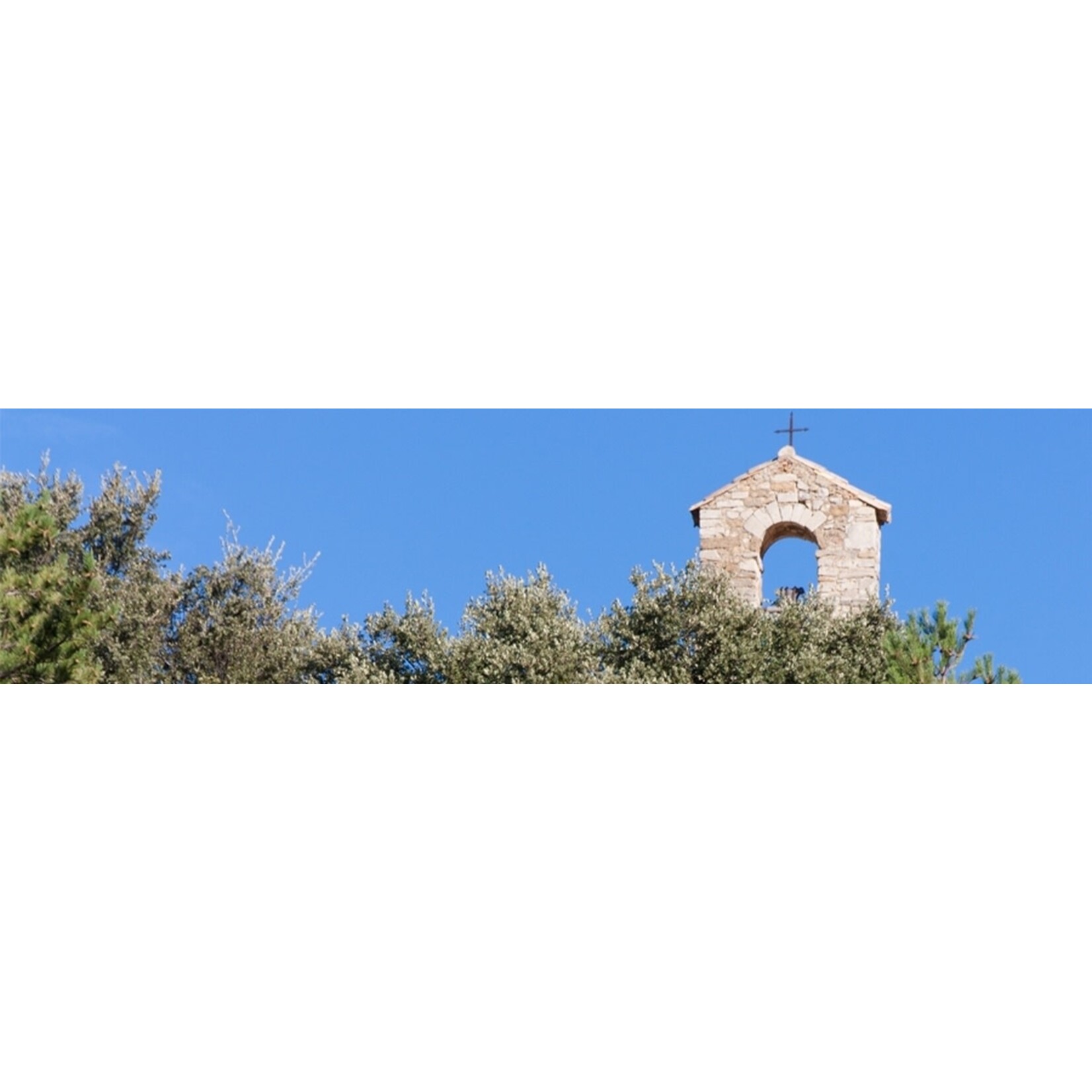 Chateau de Saint Cosme Chateau de Saint Cosme Micro-Cosme Sauvignon Viognier 2022 Rhone France