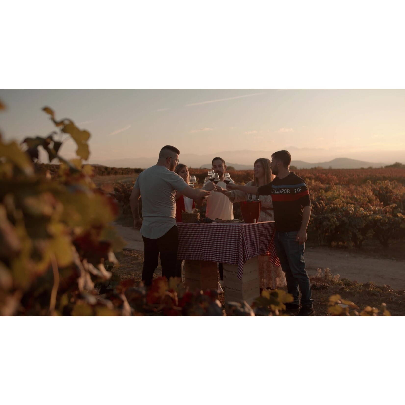 Marques de Caceres Verdejo White 2022 Rueda Spain