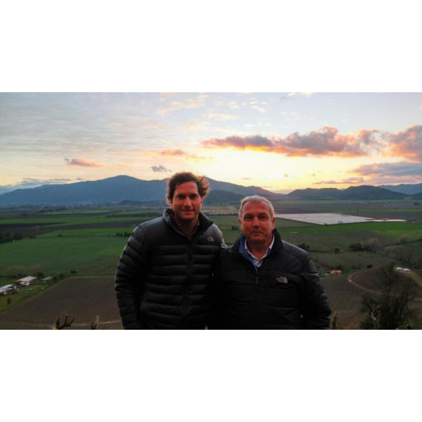 Siegel Single Vineyard Los Lingues Petite Verdot