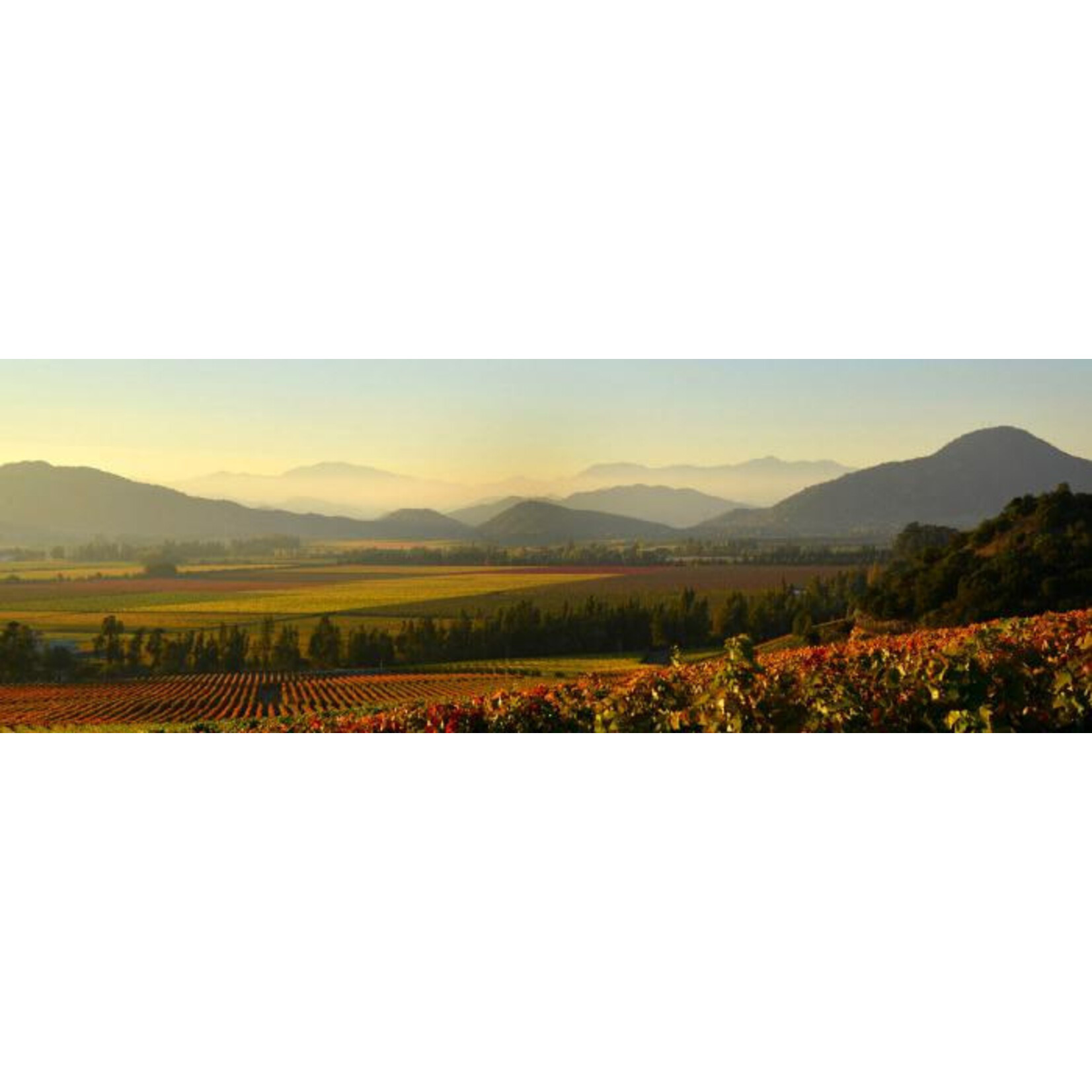 Siegel Unique Selection Los Lingues Cabernet Sauvignon Blend Chile