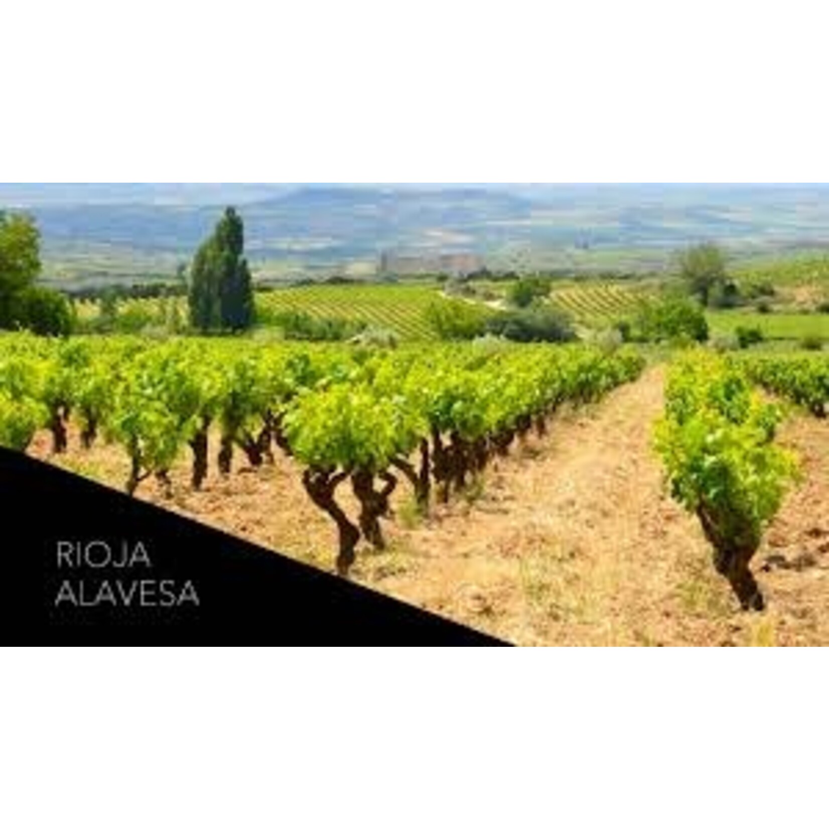 Bodega Luis Cañas Luis Canas Reserva Seleccion de la Familia 2019 Rioja, Spain 91pts-JS