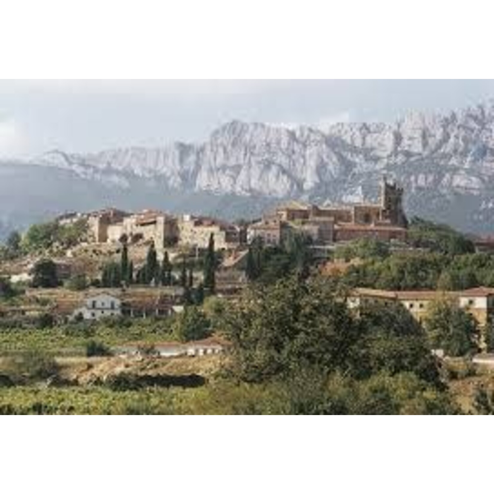 Bodega Luis Cañas Luis Canas Reserva Seleccion de la Familia 2019 Rioja, Spain 91pts-JS