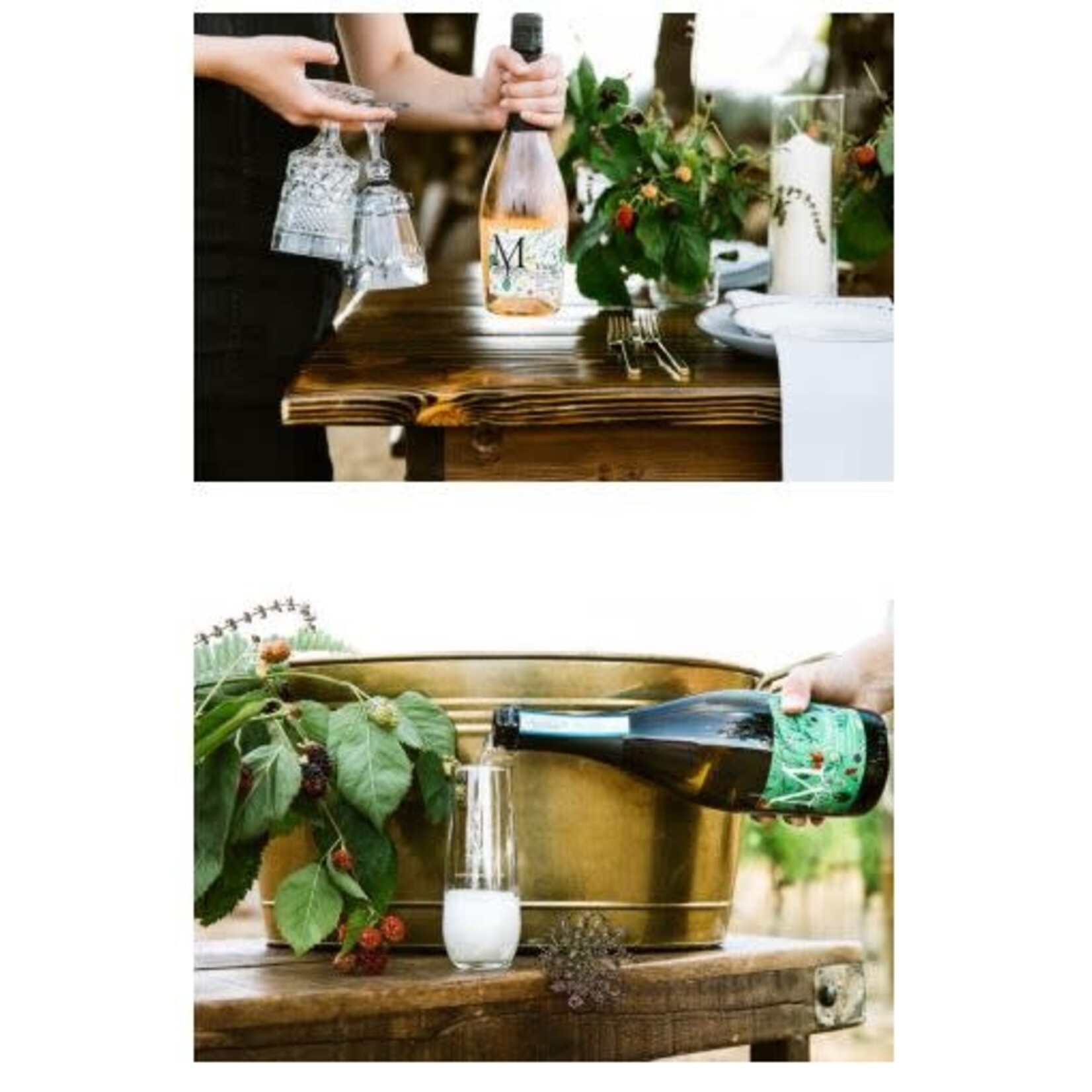 Vivace Montinore Estate Sparkling Extra Dry Prosecco Rose DOC  Made With Organic Grapes Veneto Italy
