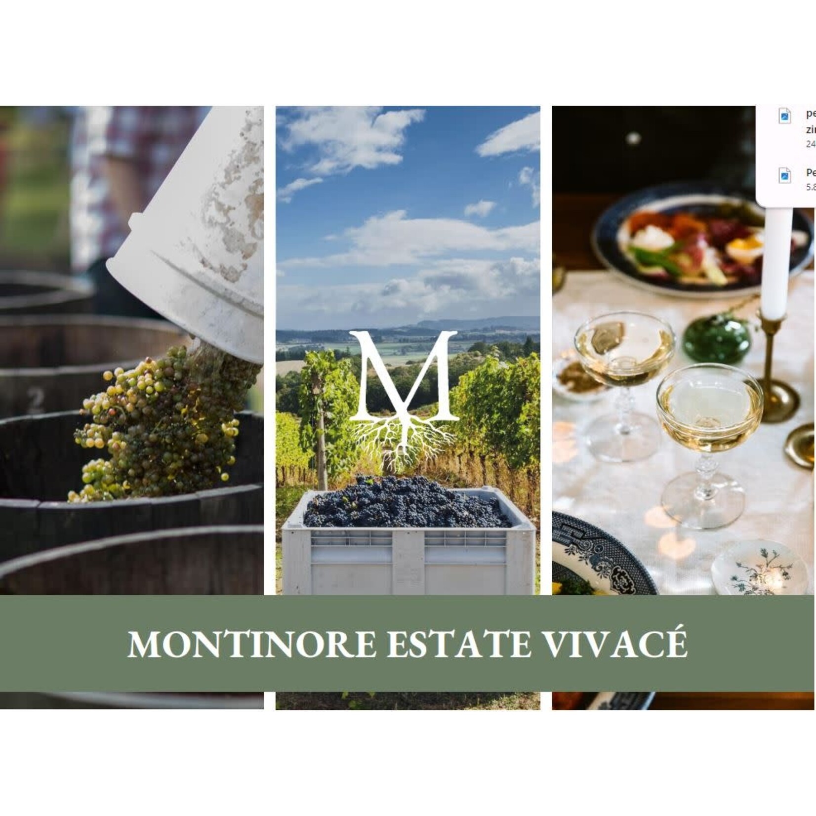 Vivace Montinore Estate Sparkling Extra Dry Prosecco Rose DOC  Made With Organic Grapes Veneto Italy
