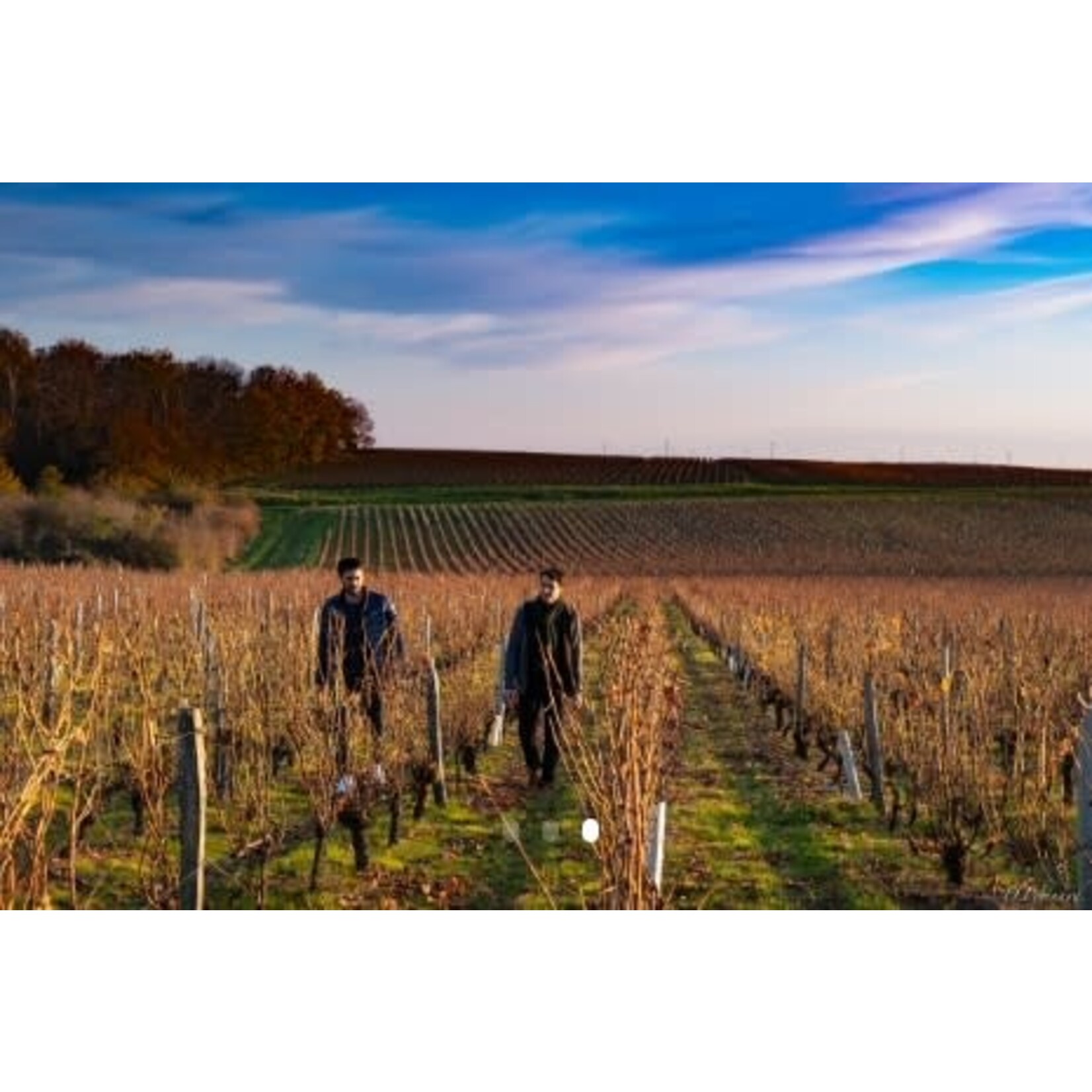 Manoir de la Firetiere Cuvee d Excellence Sauvignon Loire
