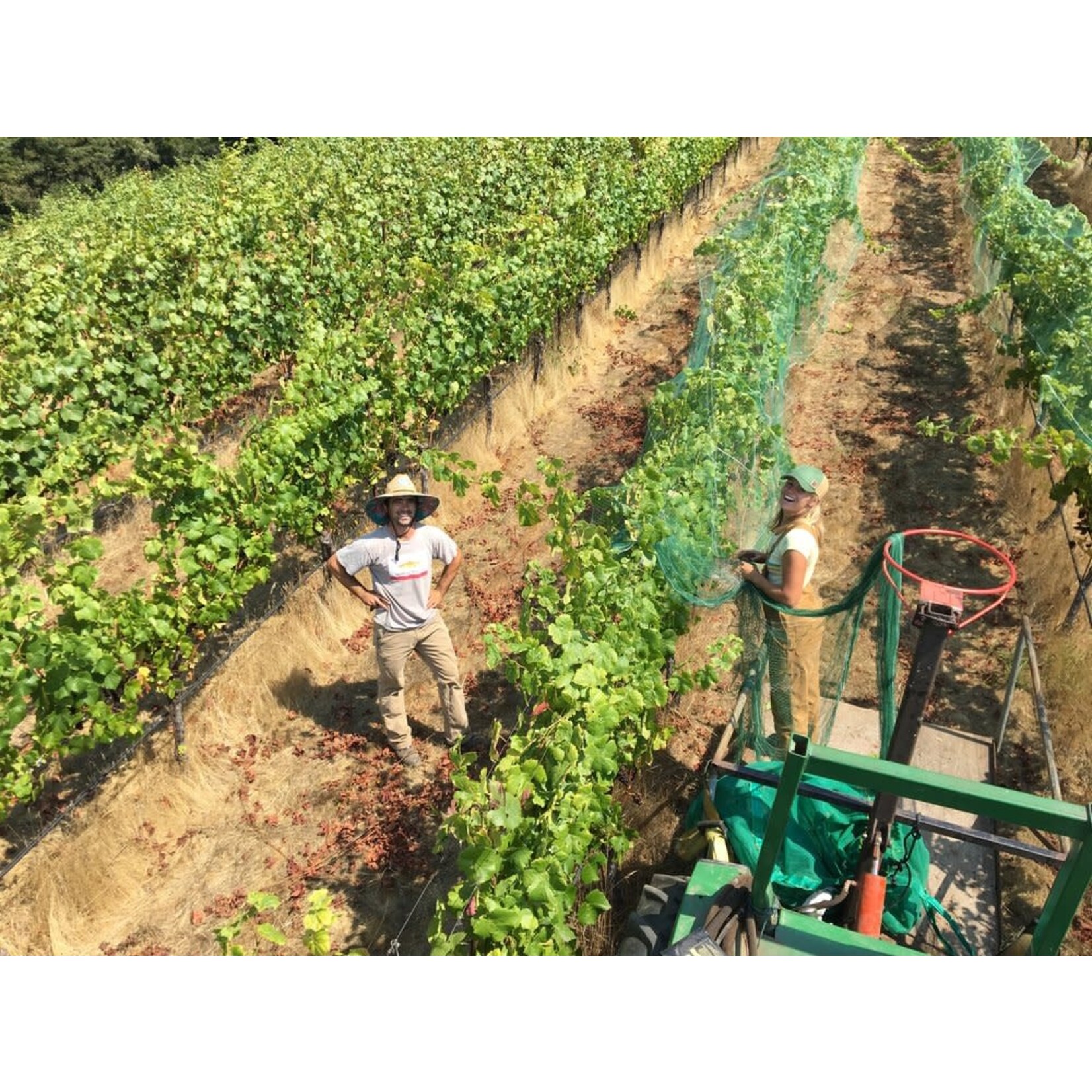Florez Wines Knoll Top Zinfandel 2022 Hunter Hill Vineyard Santa Cruz Mountains California