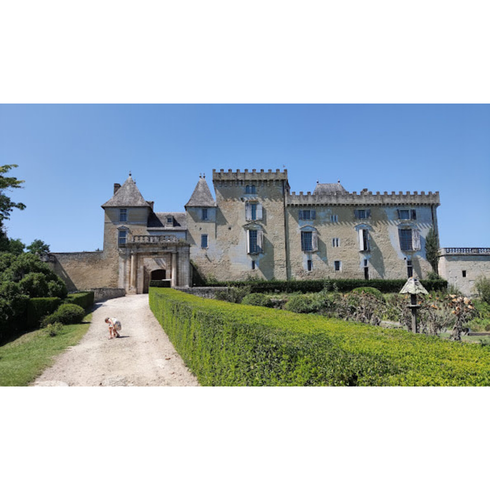 Haut Branda Sauvignon Bordeaux 2023 France