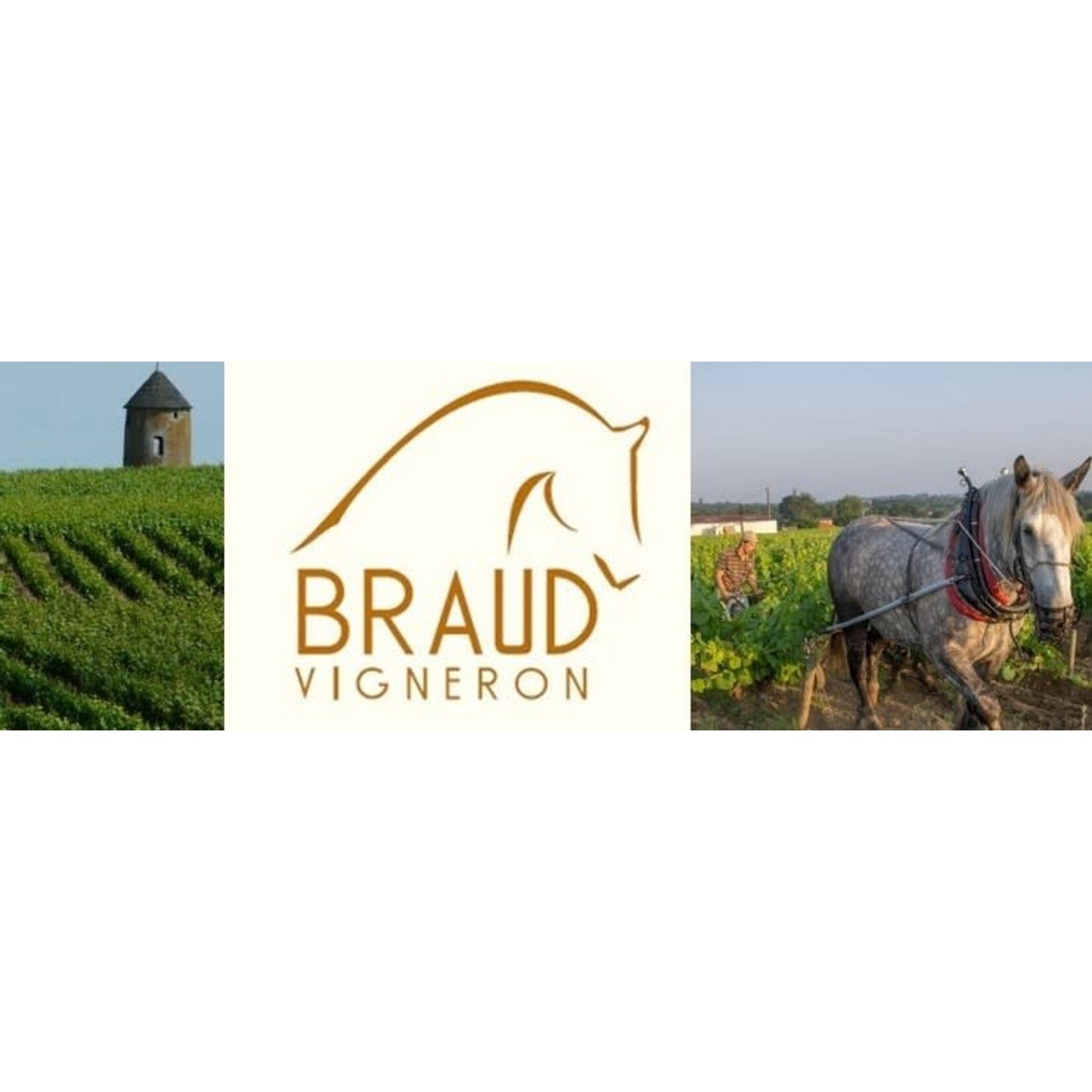 Julien Braud Pinot Noir 2022 Loire France