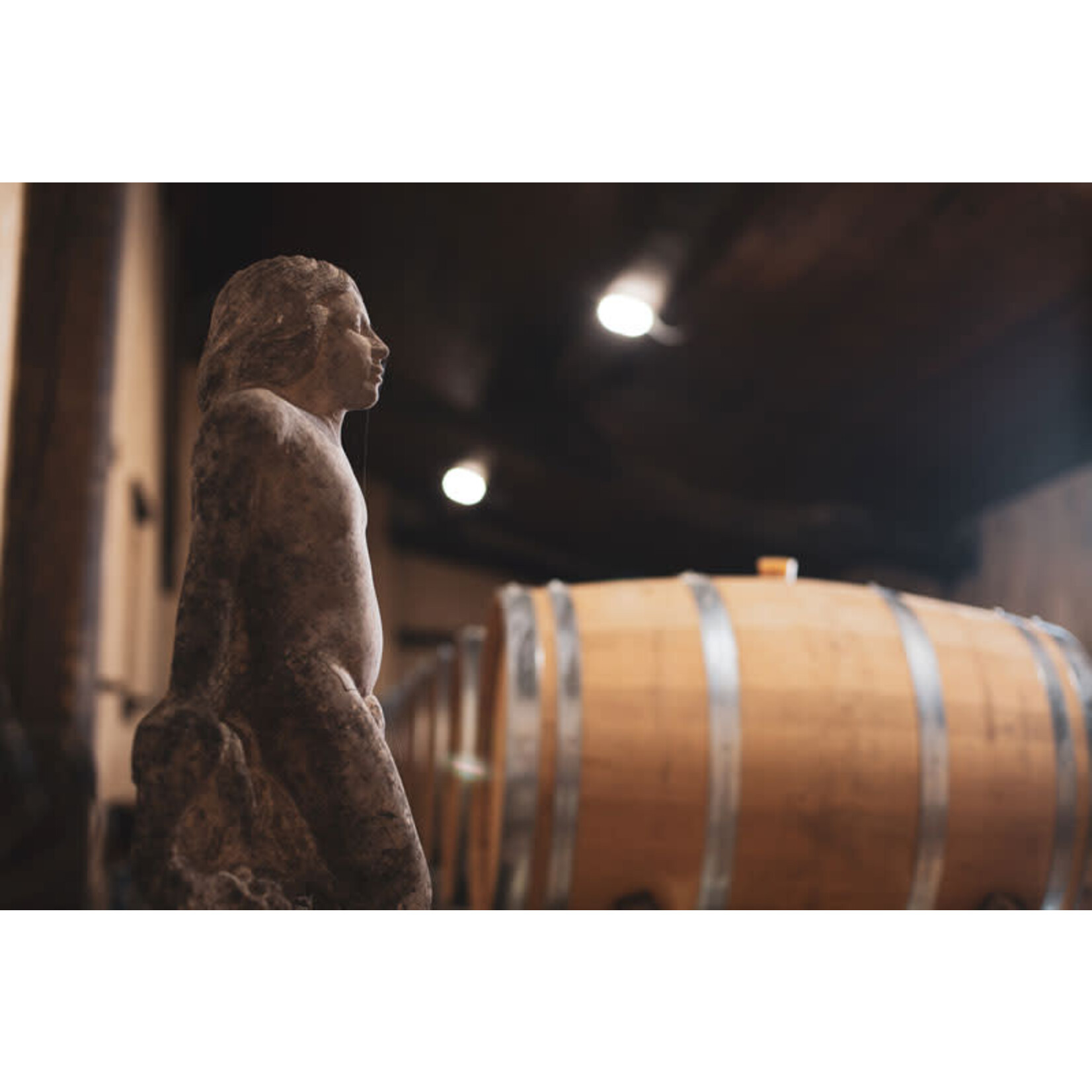 Chateau Maison Noble St Martin Bordeaux Superieur 2019 France