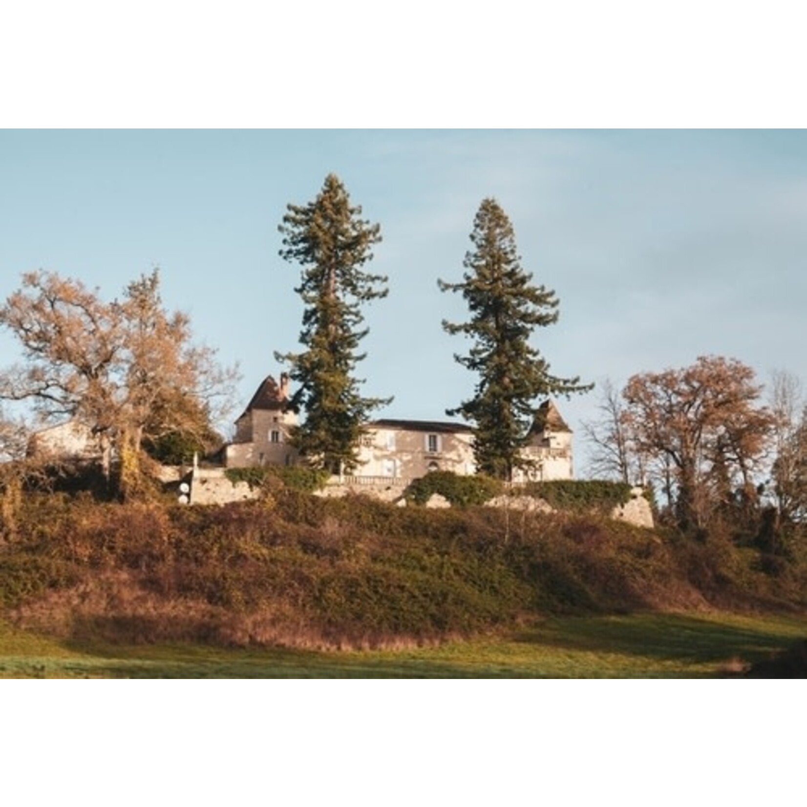 Chateau Maison Noble St Martin Bordeaux Superieur 2019 France