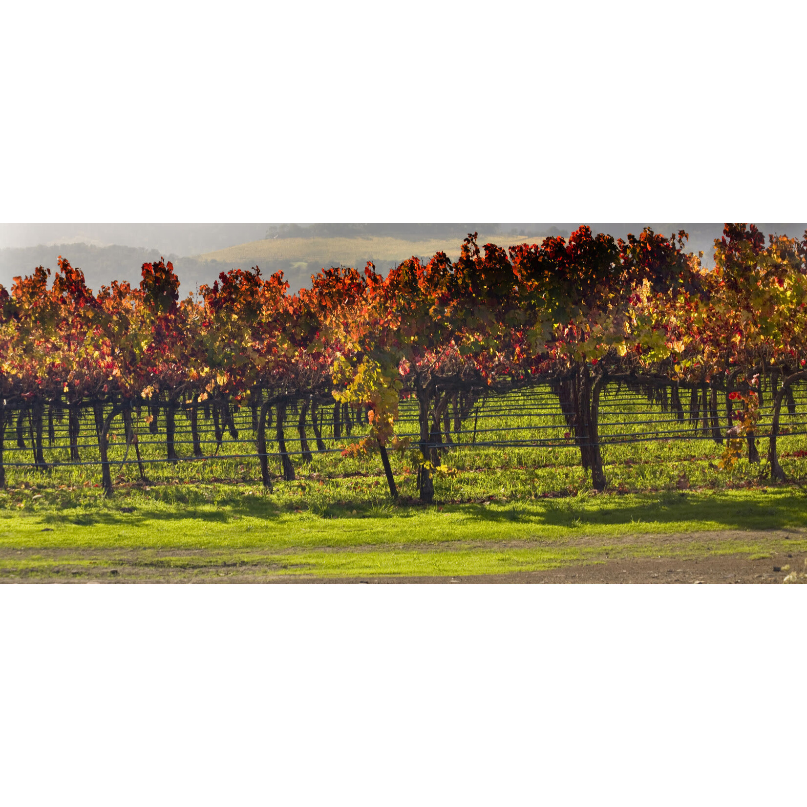 Chateau Maison Noble St Martin Bordeaux Superieur 2019 France