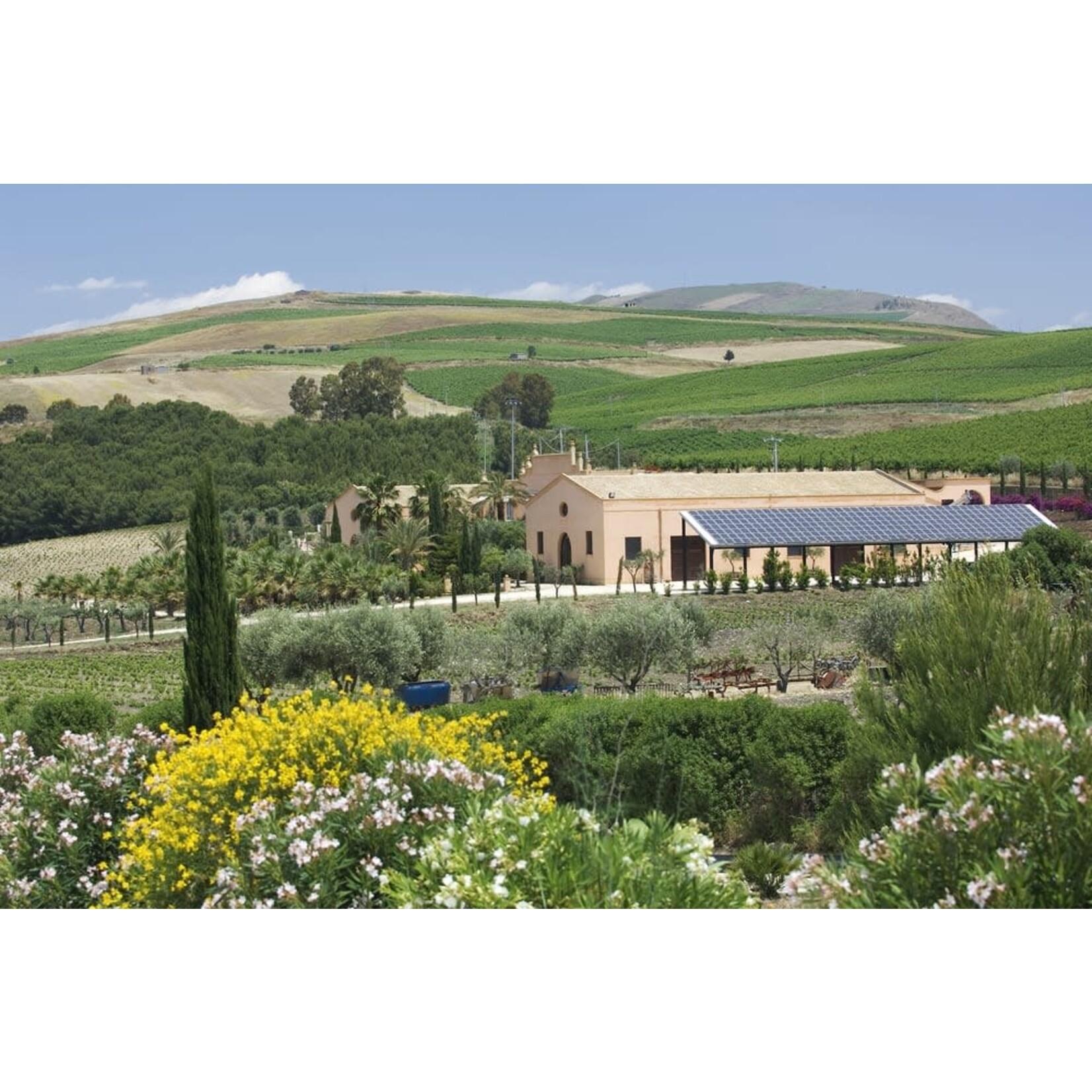 Donnafugata Mille e una Notte - A Million Nights Rosso Nero D'Avola Blend 2018  Sicily Italy