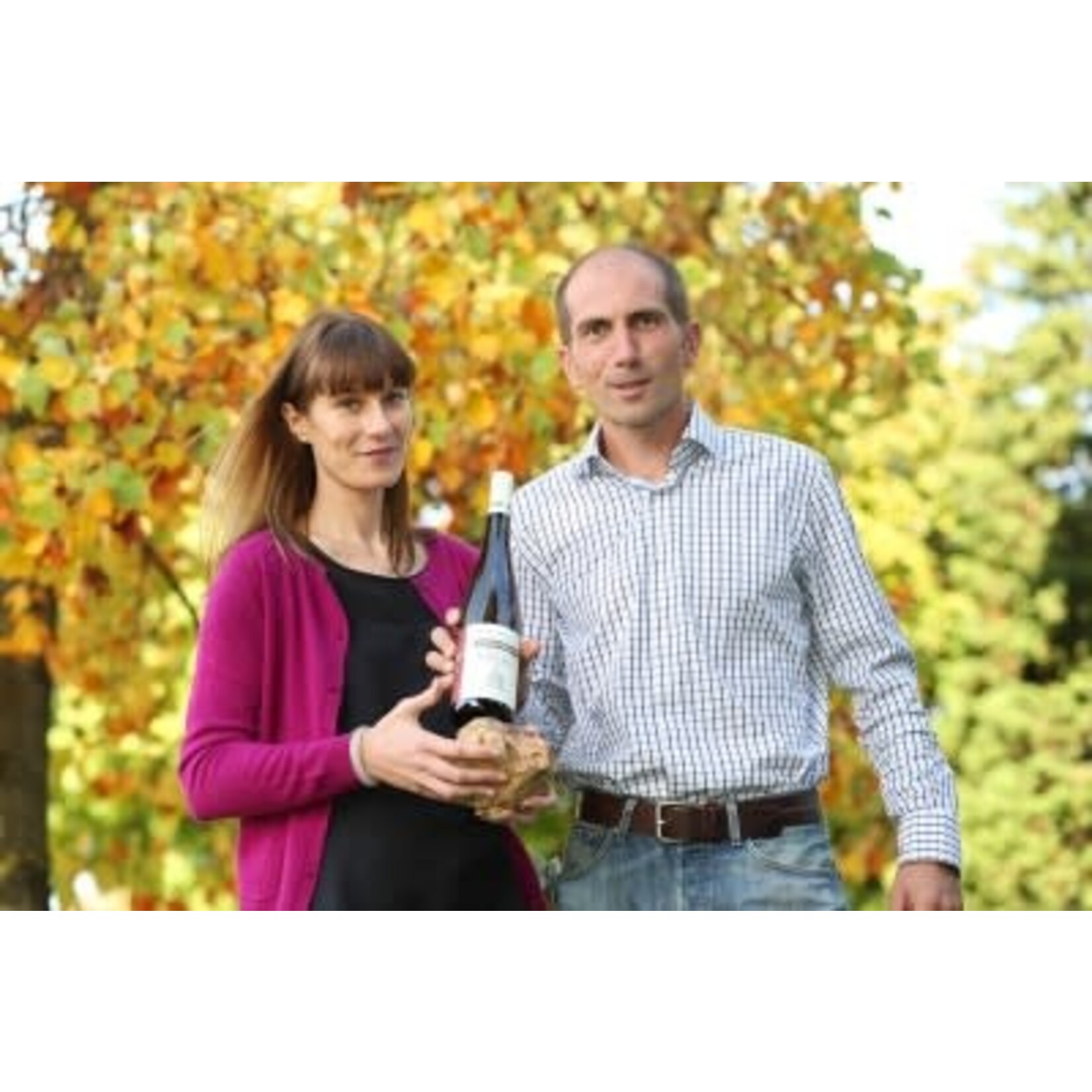 Emile Beyer Eguisheim Pinot Gris Alsace
