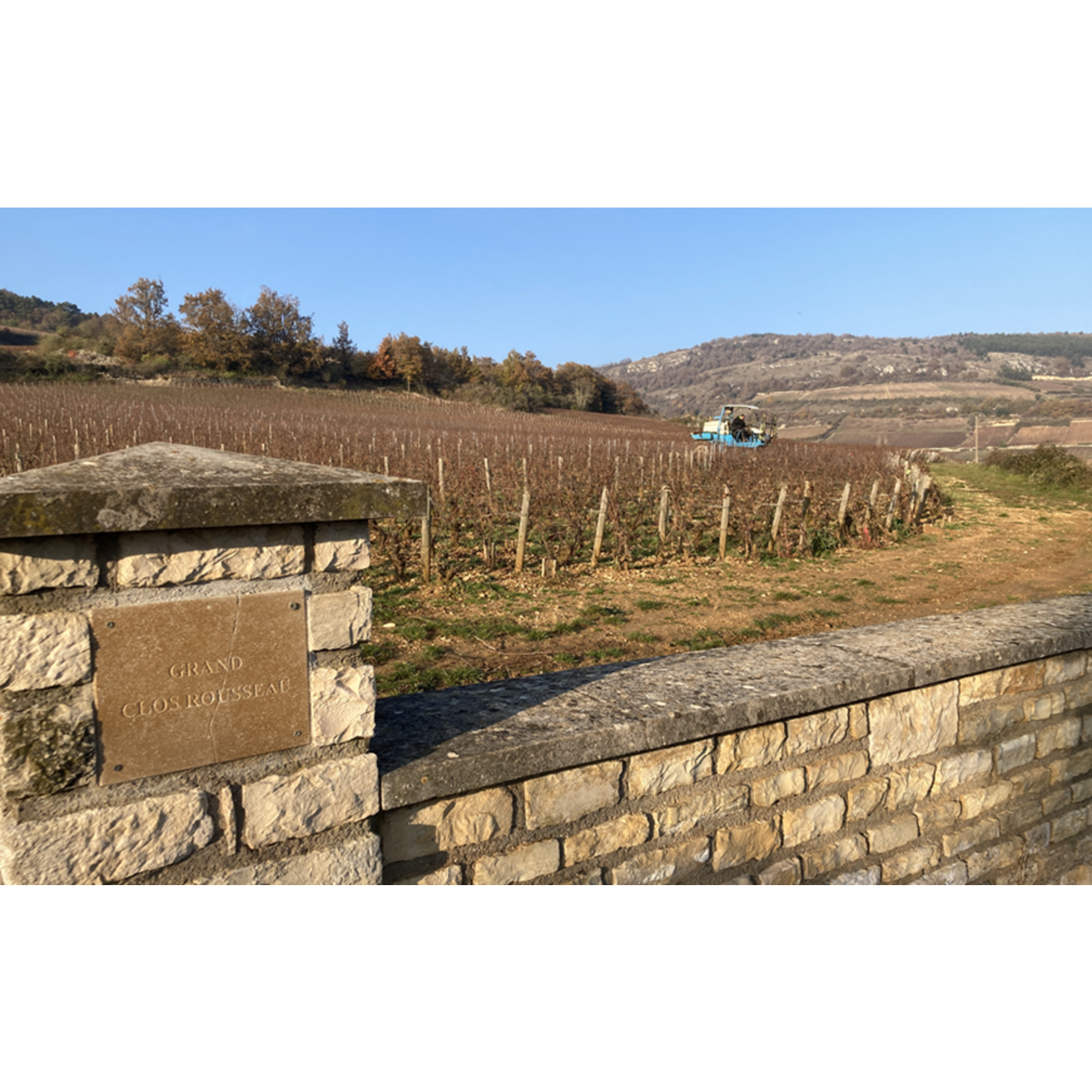 Domaine Bachey-Legros Santenay 1er Cru La Comme Vieille Vignes Burgundy France 2021