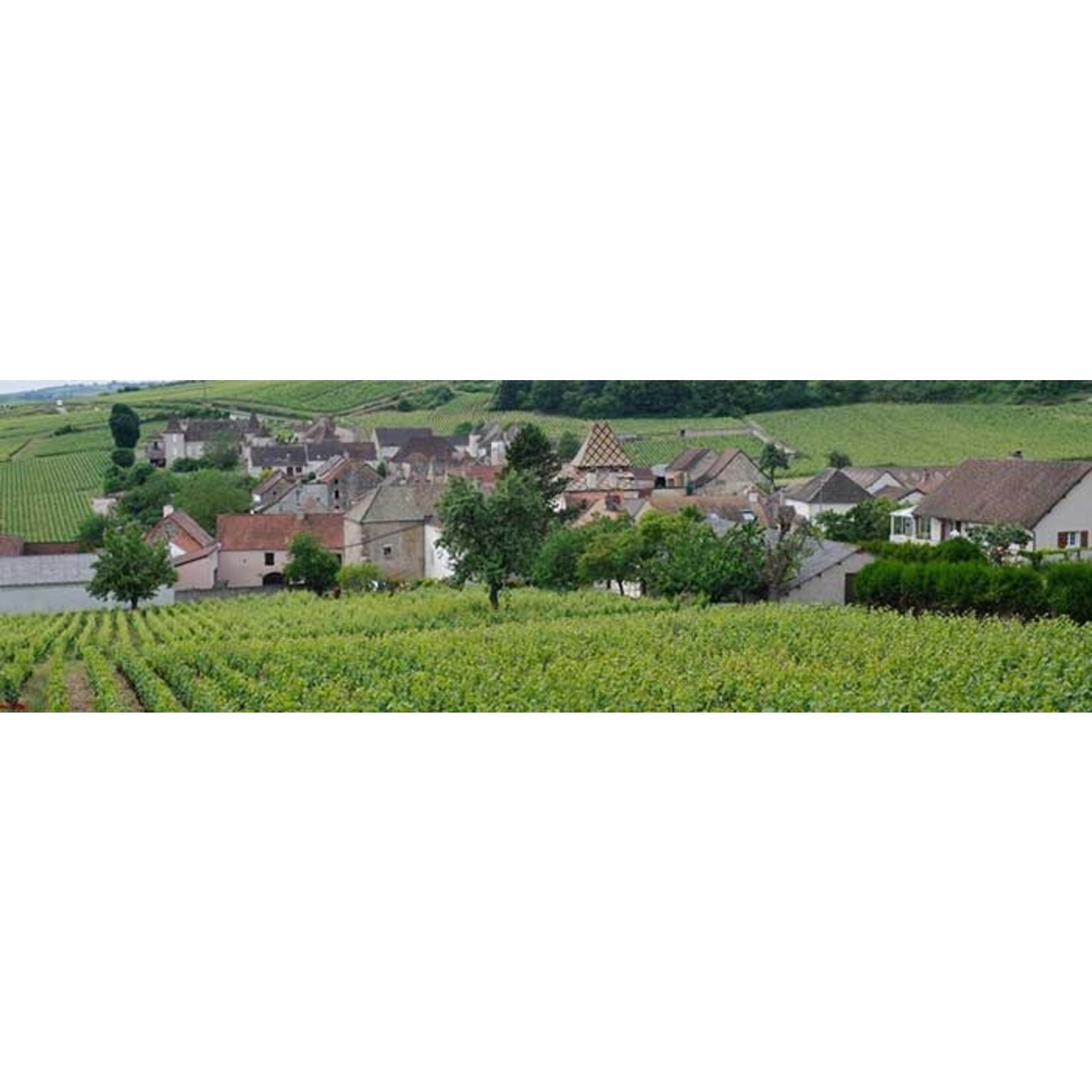 Domaine Bachey-Legros Santenay 1er Cru La Comme Vieille Vignes Burgundy France 2021