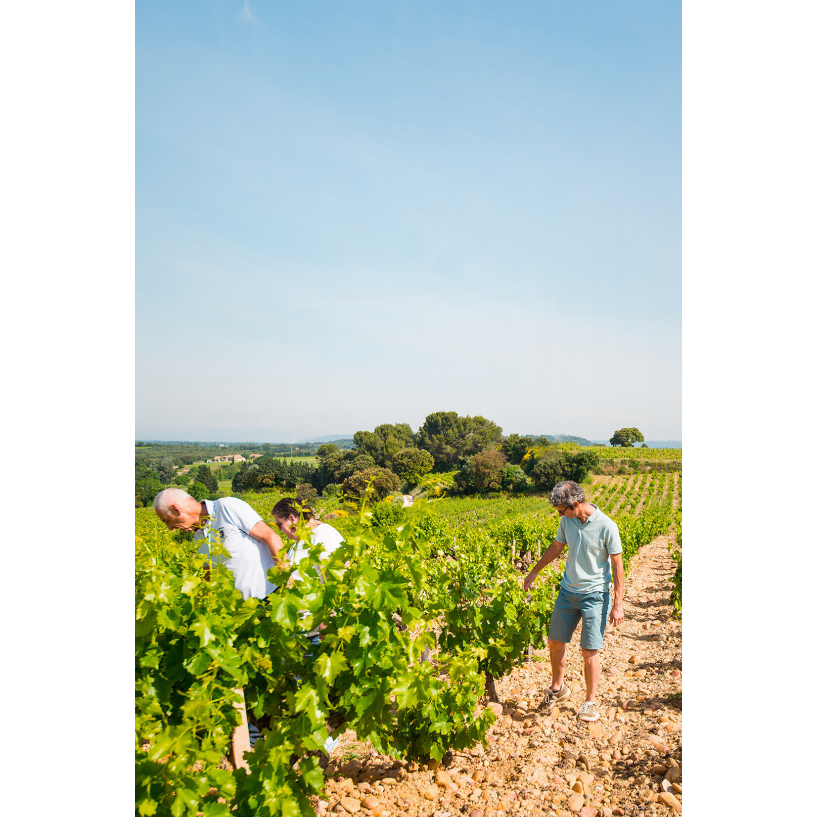 Domaine de la Durbane Chateauneuf du Pape Blanc 2022
