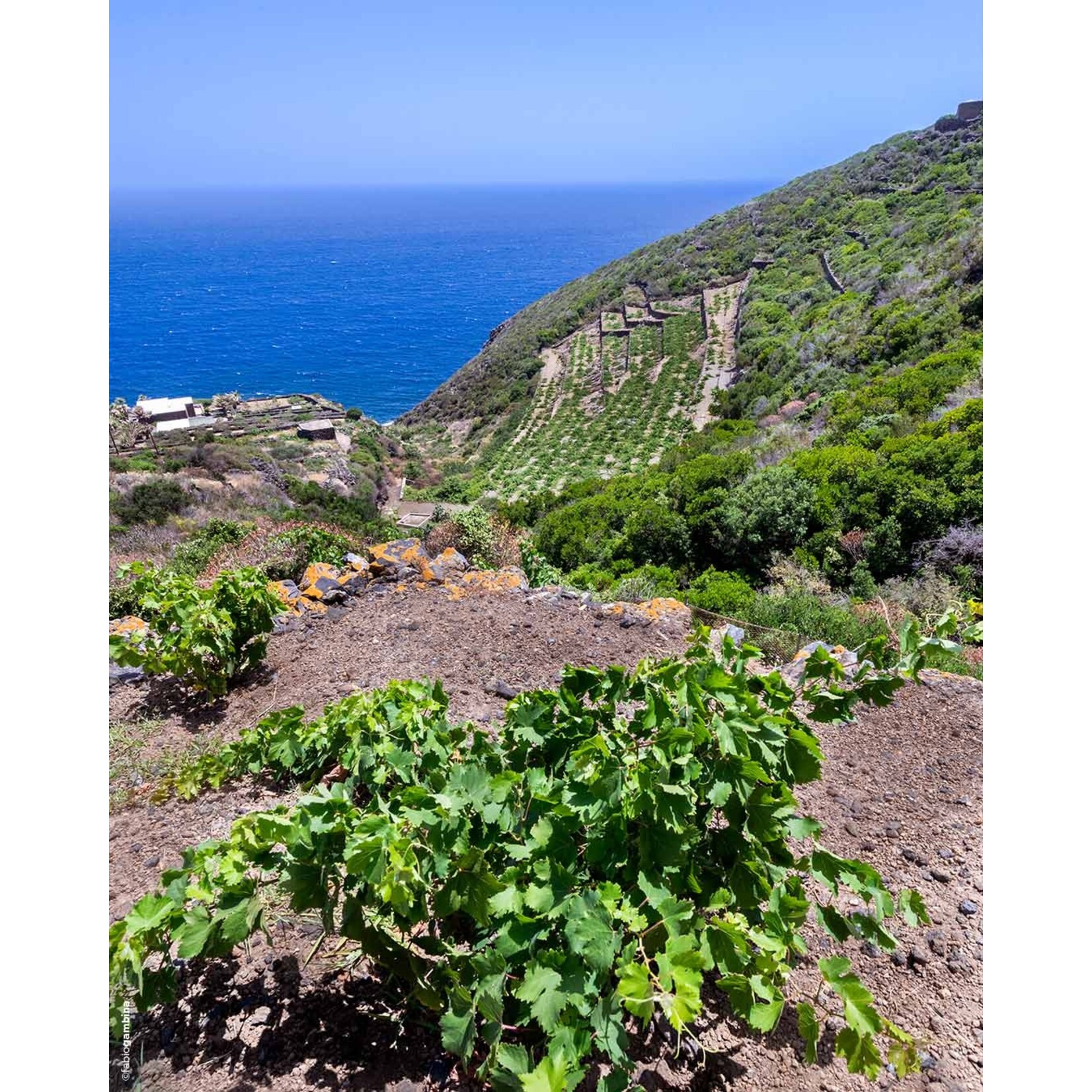 Donnafugata Donnafugata Sicilia La Bella Sedara Rosso 2021 Sicily Italy