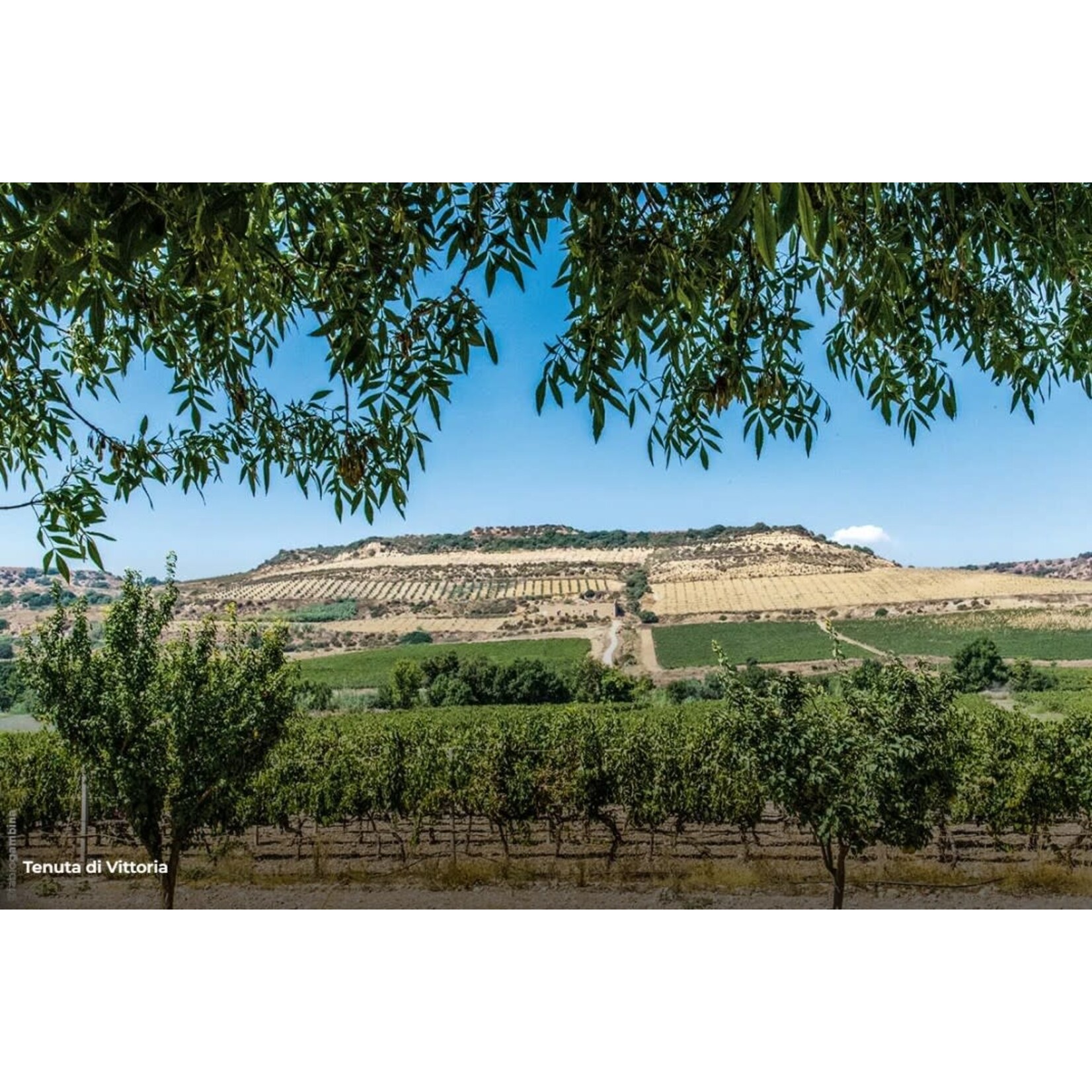 Donnafugata Donnafugata Sul Vulcano Etna Rosso DOC Italy