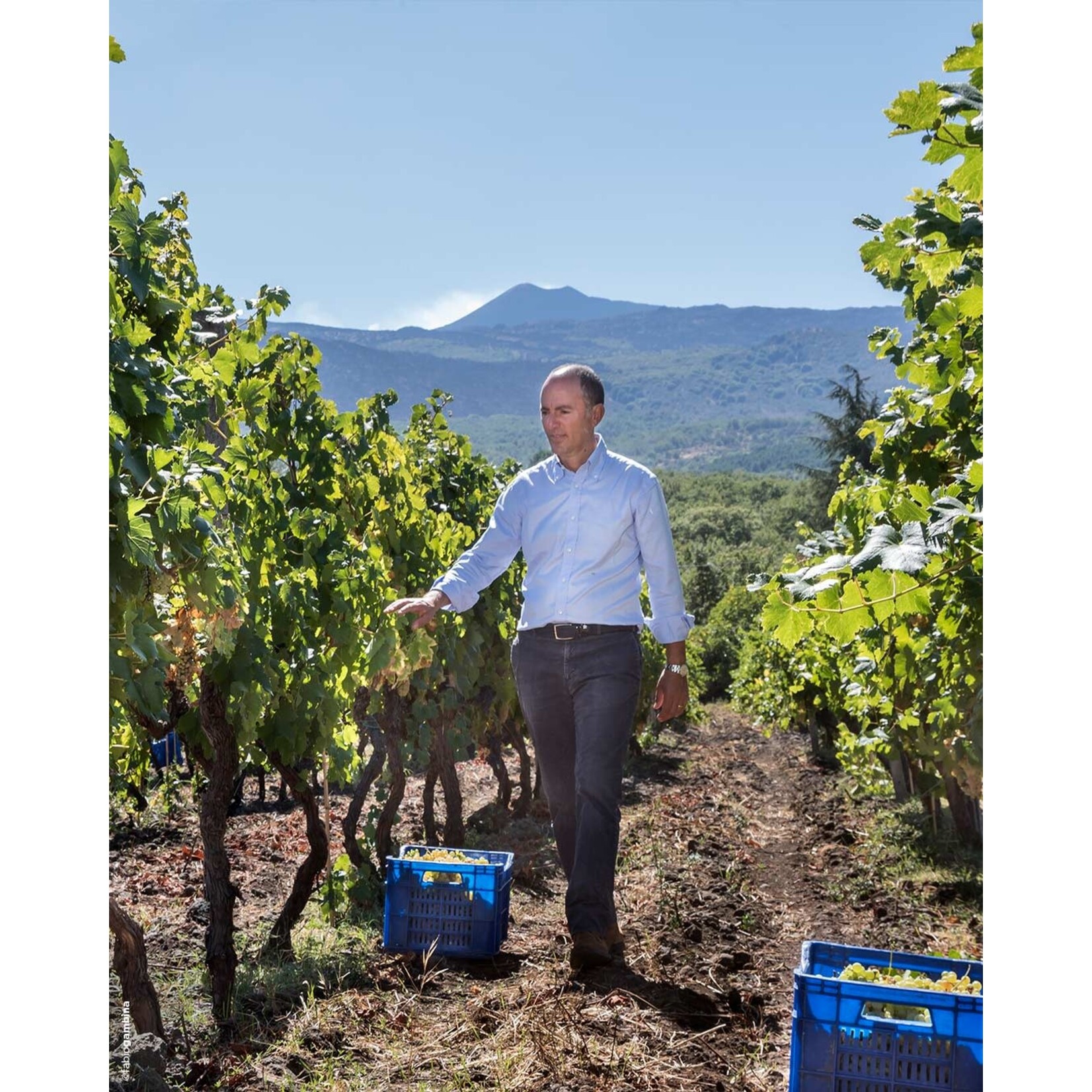 Donnafugata Donnafugata Sul Vulcano Etna Rosso DOC Italy