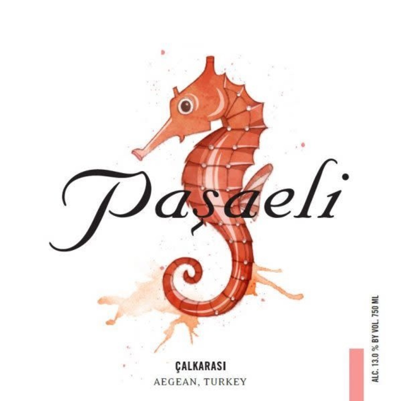 Pasaeli Aegean Calkarasi Seahorse Rose Turkey 2023