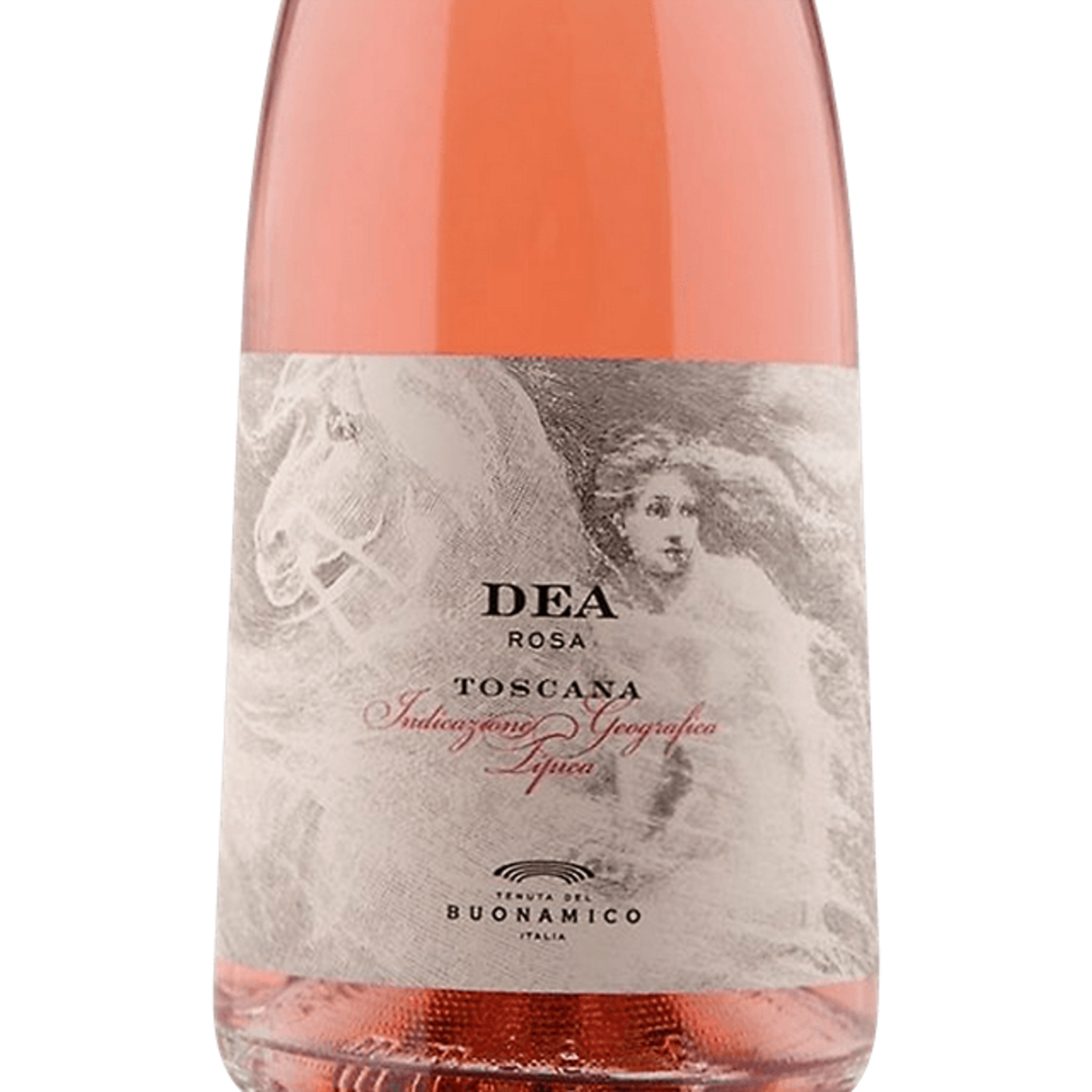 Tenuta del Buonamico Toscana Dea Rosa Rose Tuscany Italy