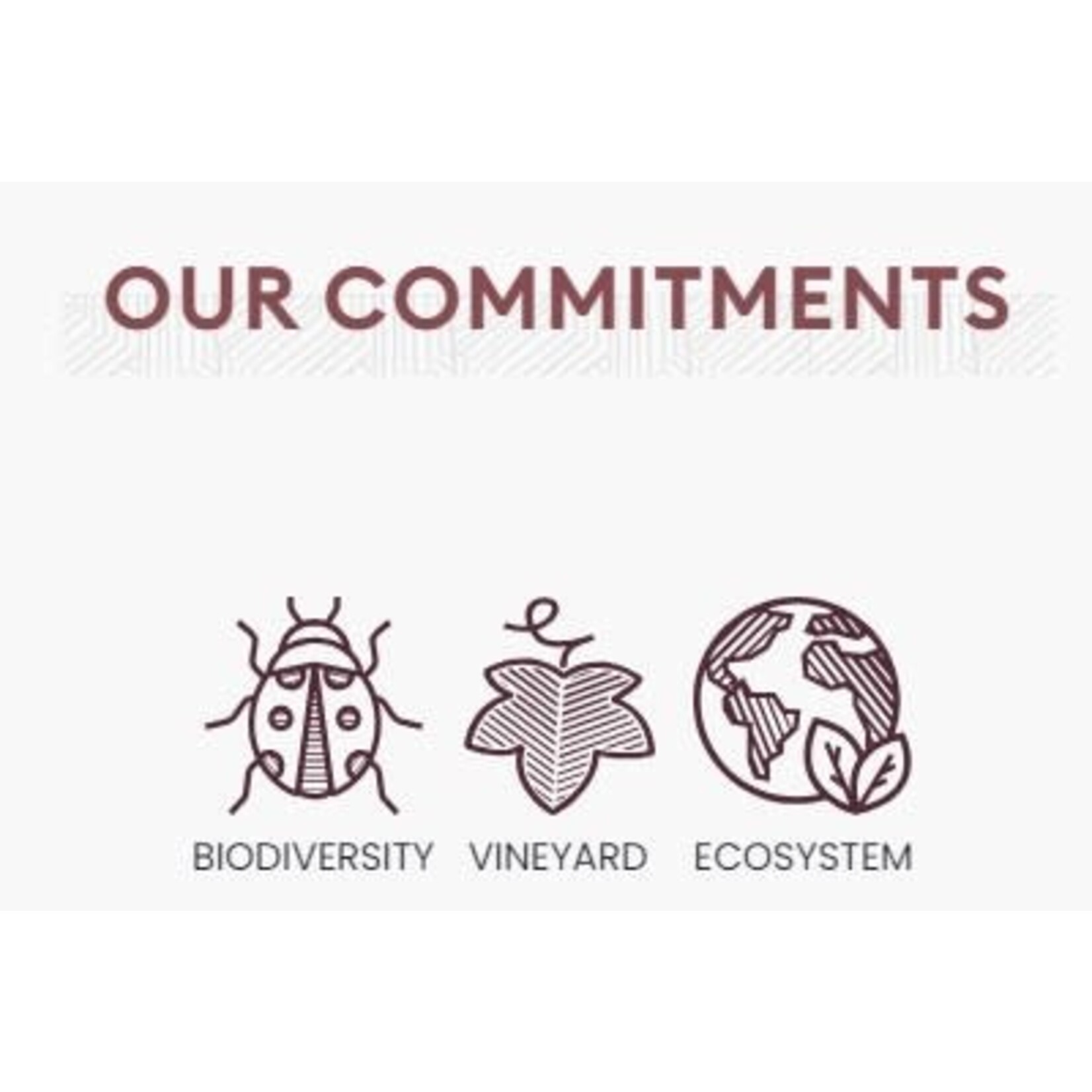 N°1 Dourthe Sauvignon Blanc 2022 Bordeaux