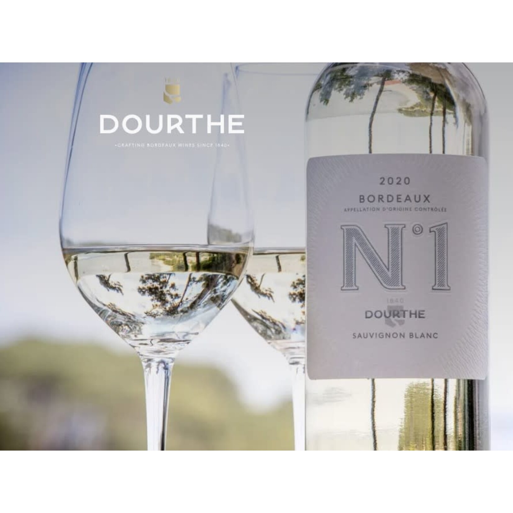 N°1 Dourthe Sauvignon Blanc 2022 Bordeaux
