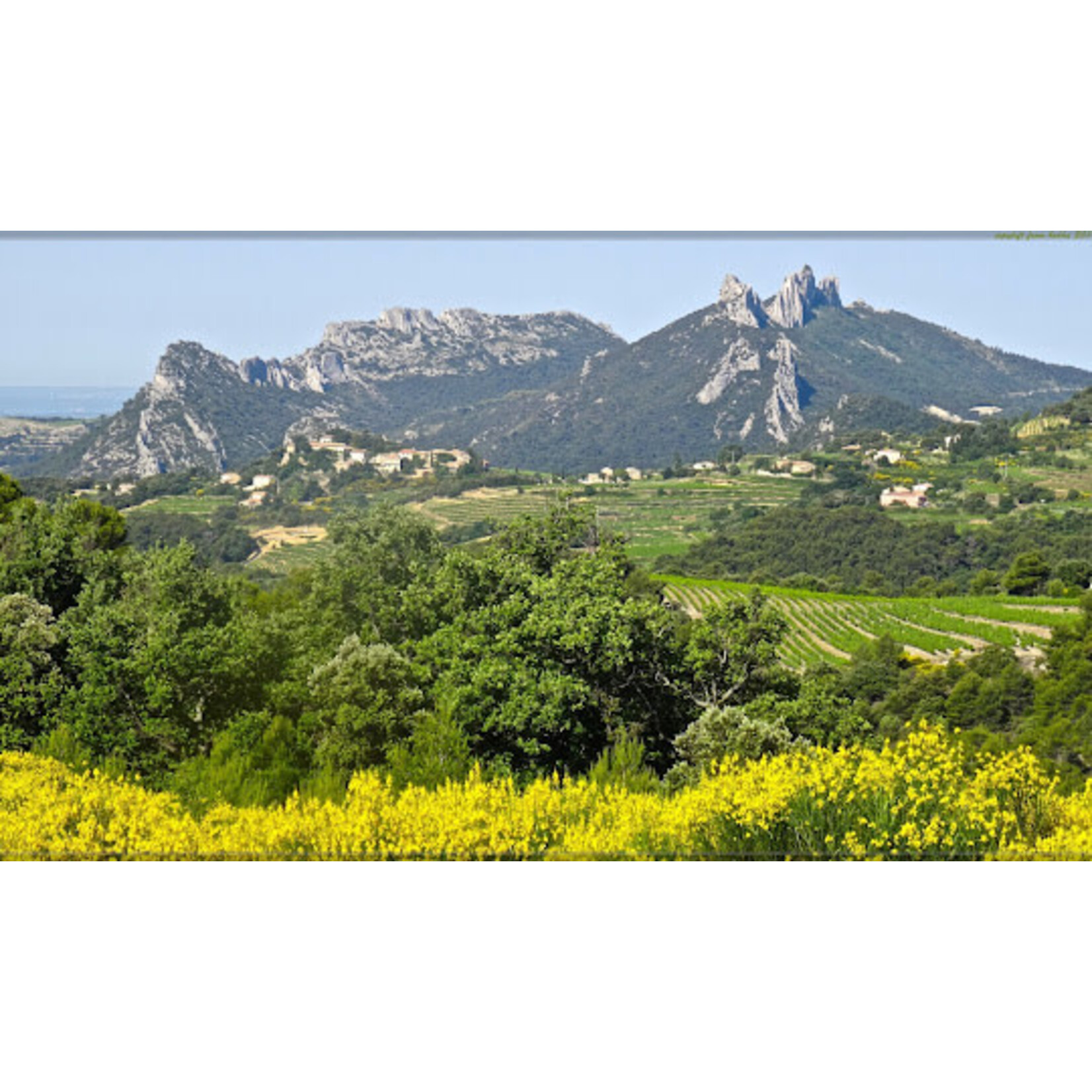 Anne Pichon Sauvage Ventoux Syrah Grenache 2022