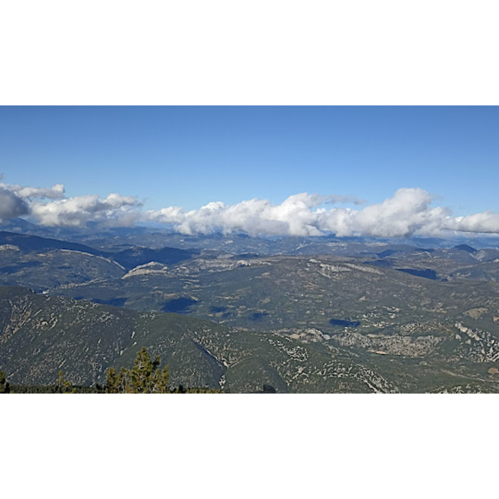 Anne Pichon Sauvage Ventoux Syrah Grenache 2022