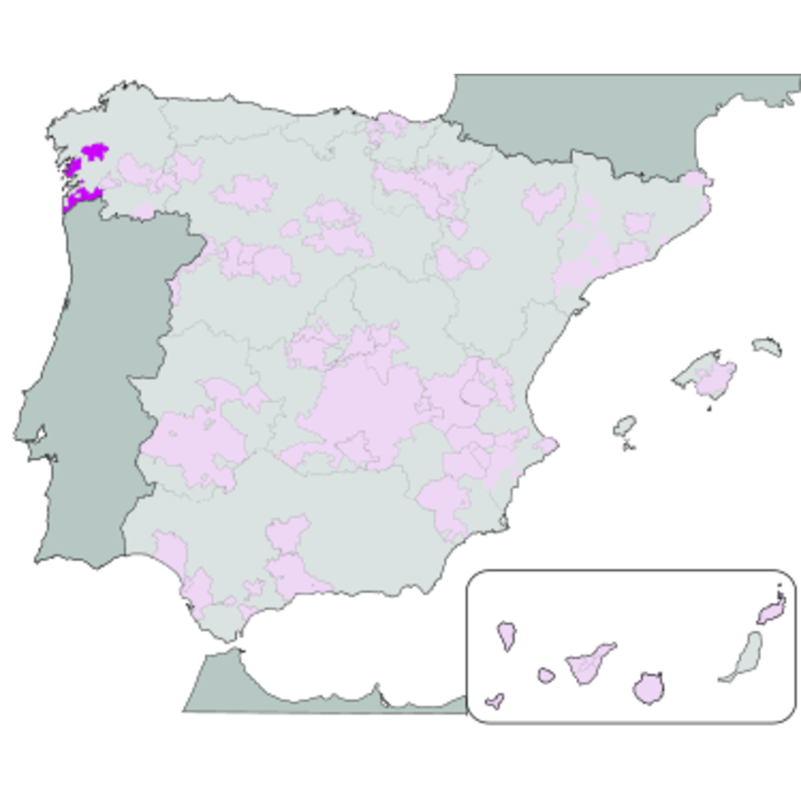 Benito Santos Igrexario De Saiar Albarino 2023 Spain