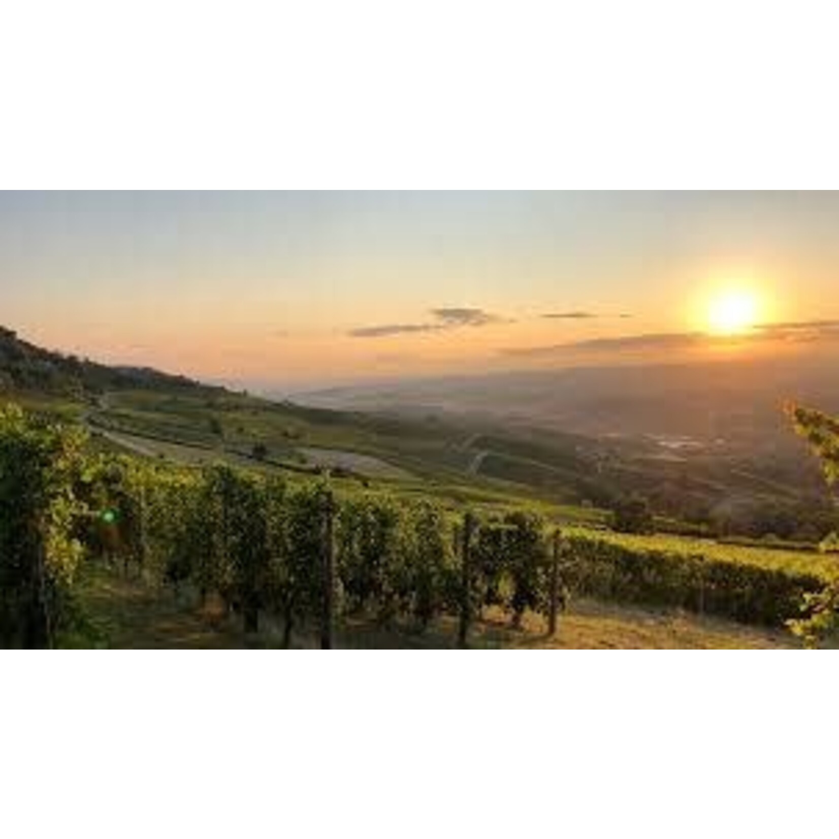 G.D. Vajra N S Della Neve Metodo Classico Extra Brut Rose Spumante Italy