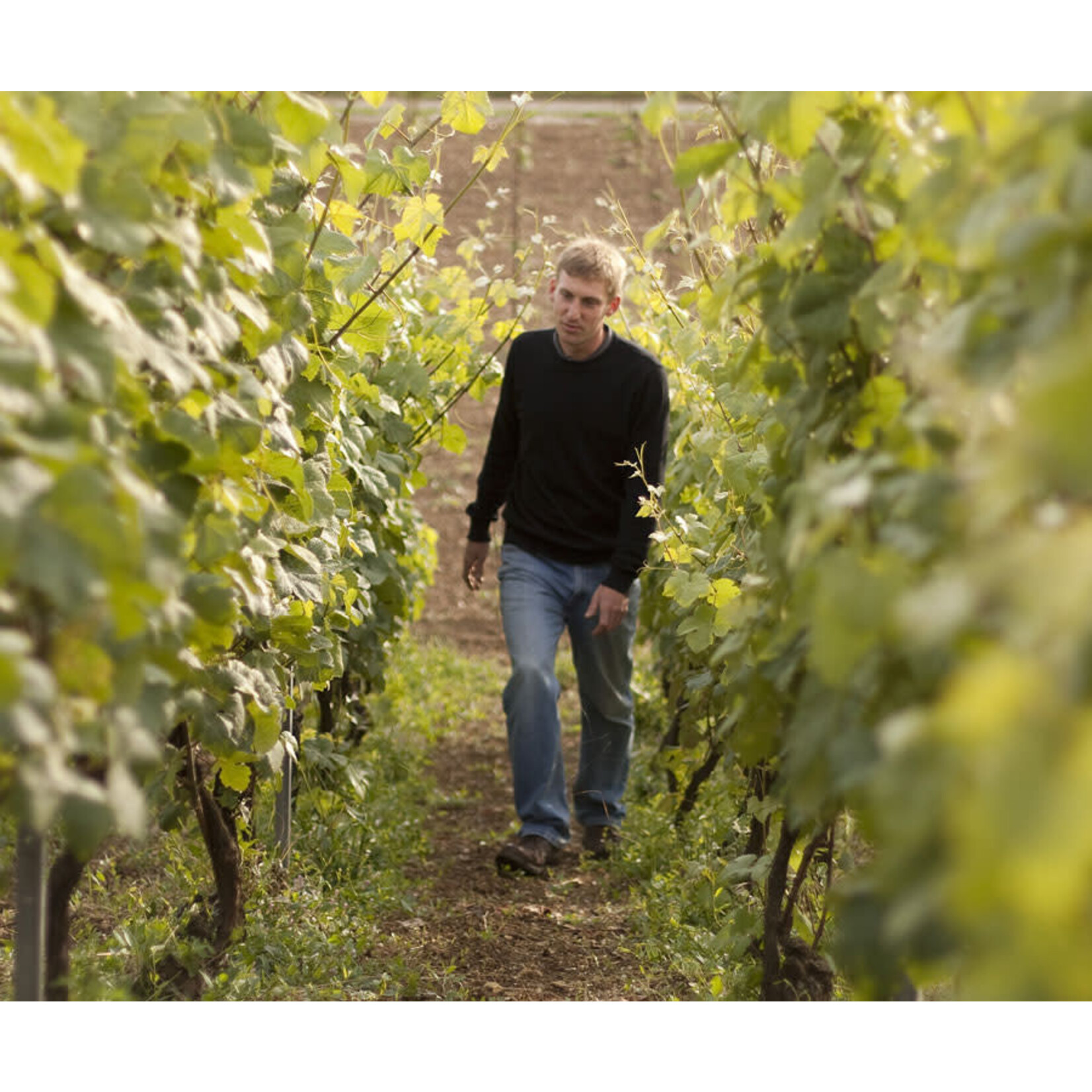 Laherte Freres A Chavot Blanc de Blancs Champagne France