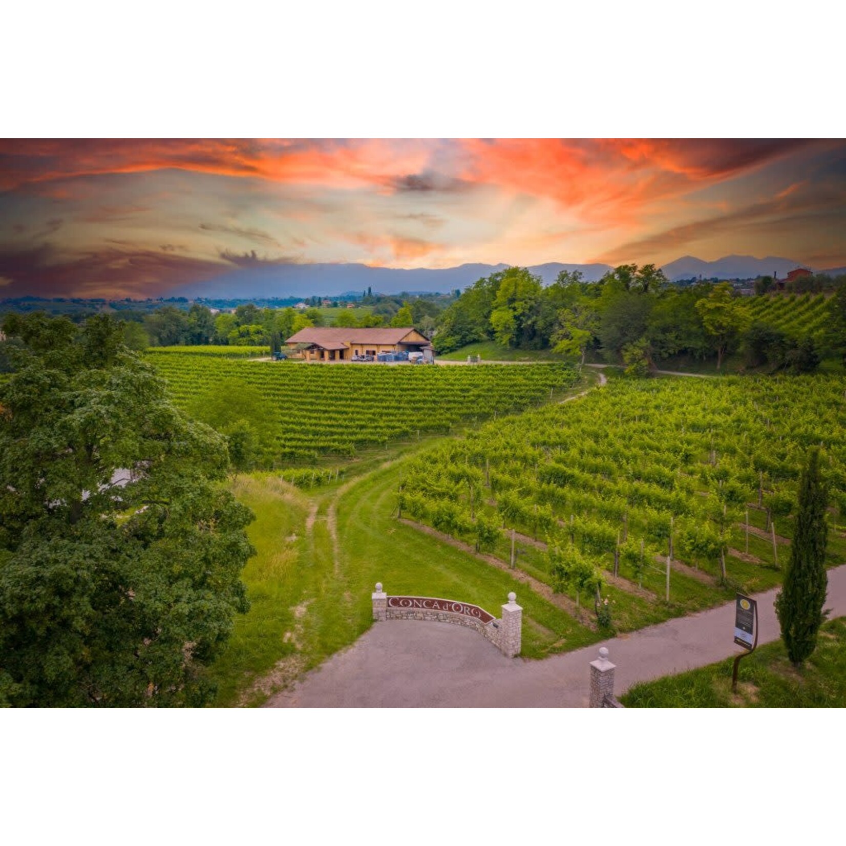 Conca d Oro Prosecco Superiore DOCG Italy