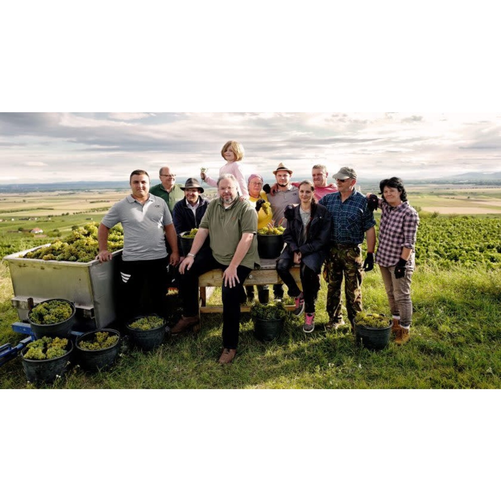 Der Ott Gruner Veltliner Dry White 2023 Niederosterreich Austria
