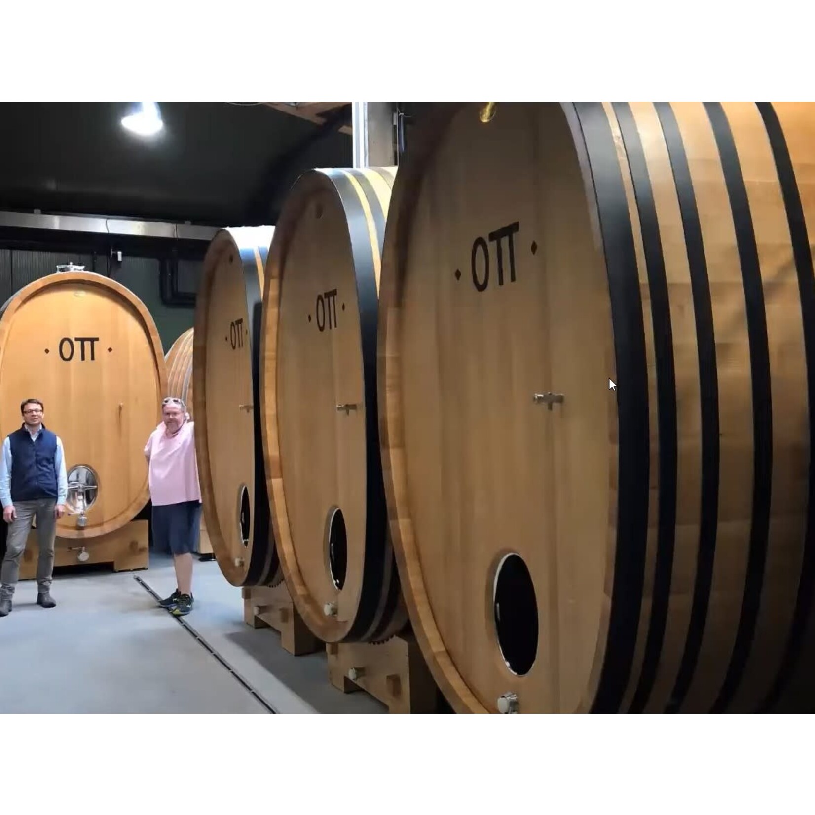 Der Ott Gruner Veltliner Dry White 2023 Niederosterreich Austria